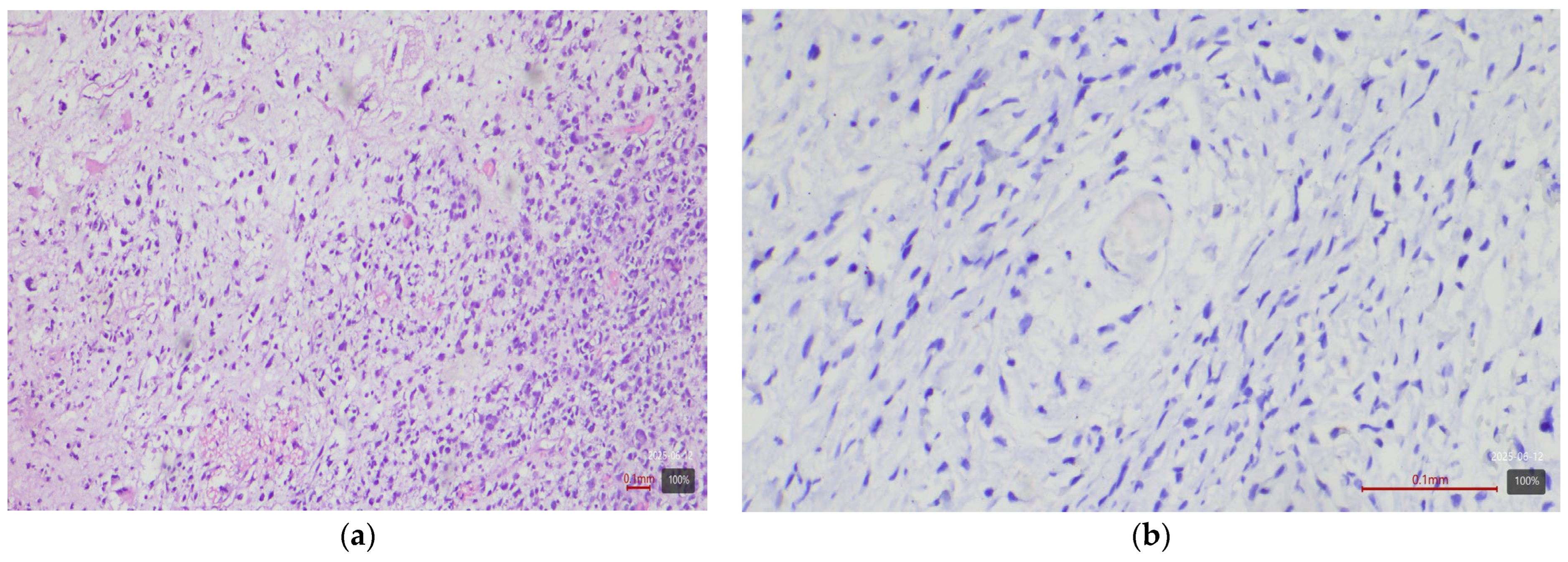 Medicina 61 01759 g003 Medicina 61 01759 g003