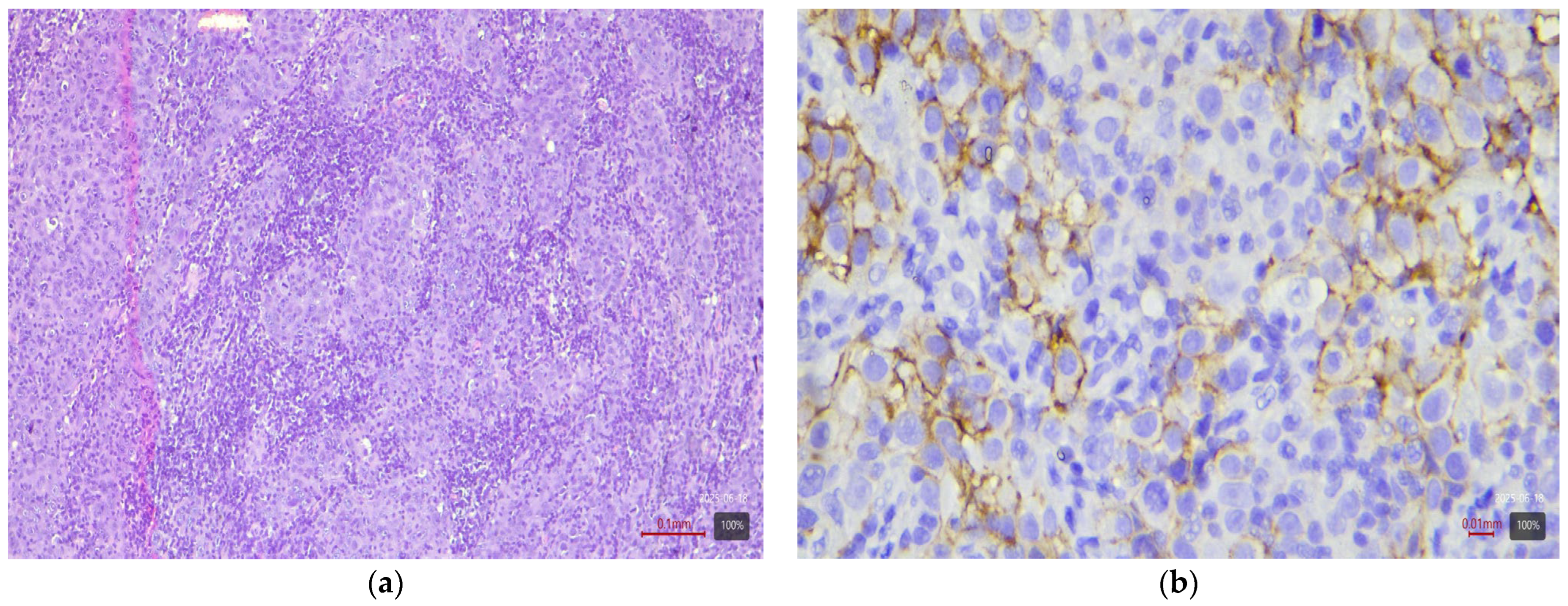 Medicina 61 01759 g007 Medicina 61 01759 g007