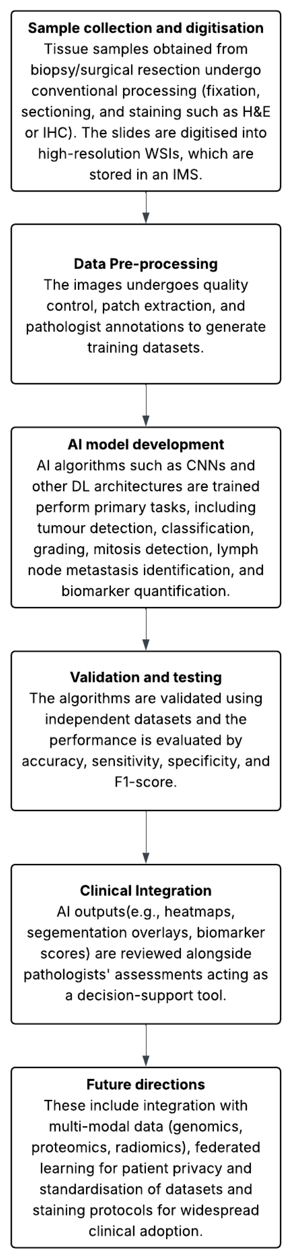 Medicina 61 01878 g002 Medicina 61 01878 g002