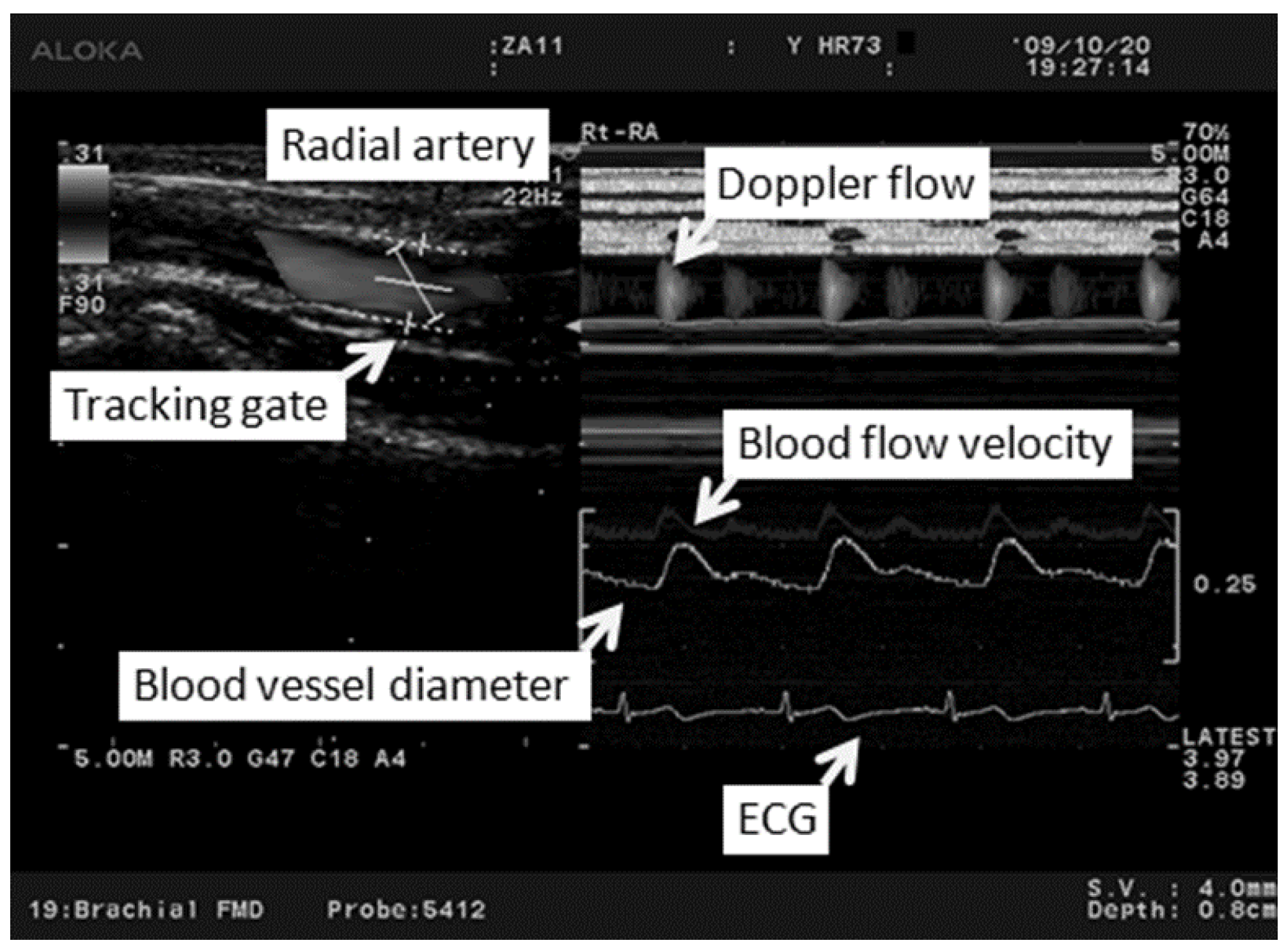 Medicines 03 00011 g002