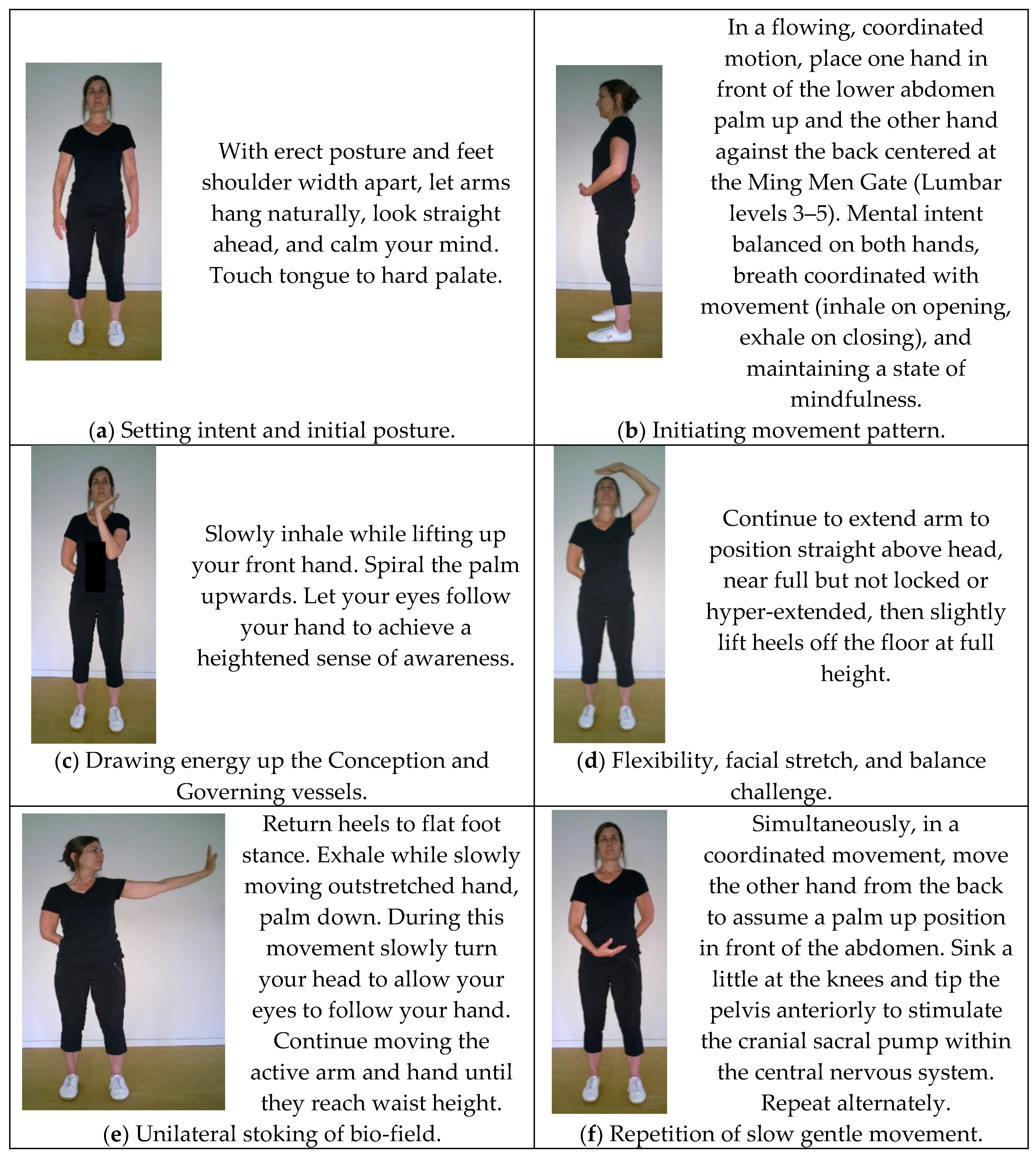 Medicines | Free Full-Text | Meditative Movement, Energetic, and Physical  Analyses of Three Qigong Exercises: Unification of Eastern and Western  Mechanistic Exercise Theory