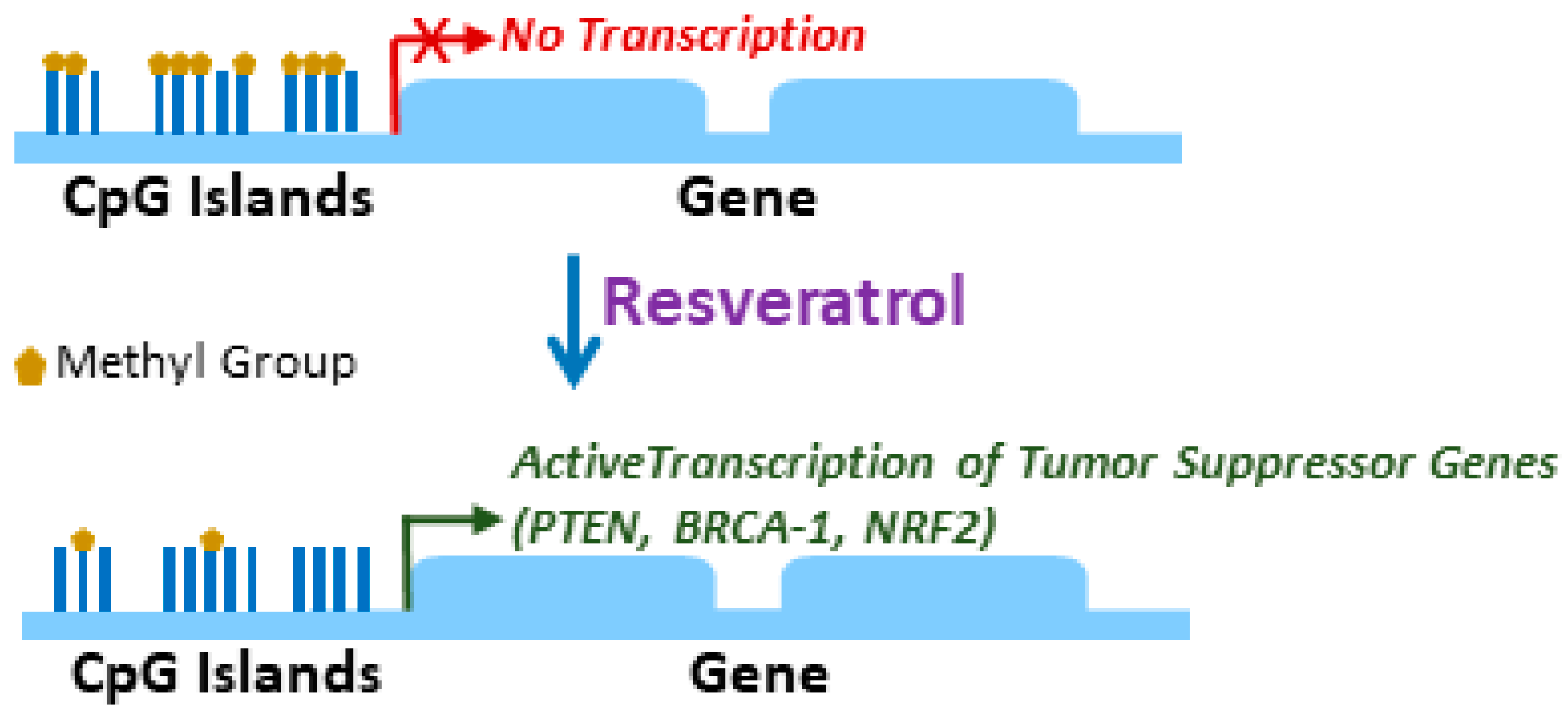 Medicines Free Full Text Differential Methylation And - 