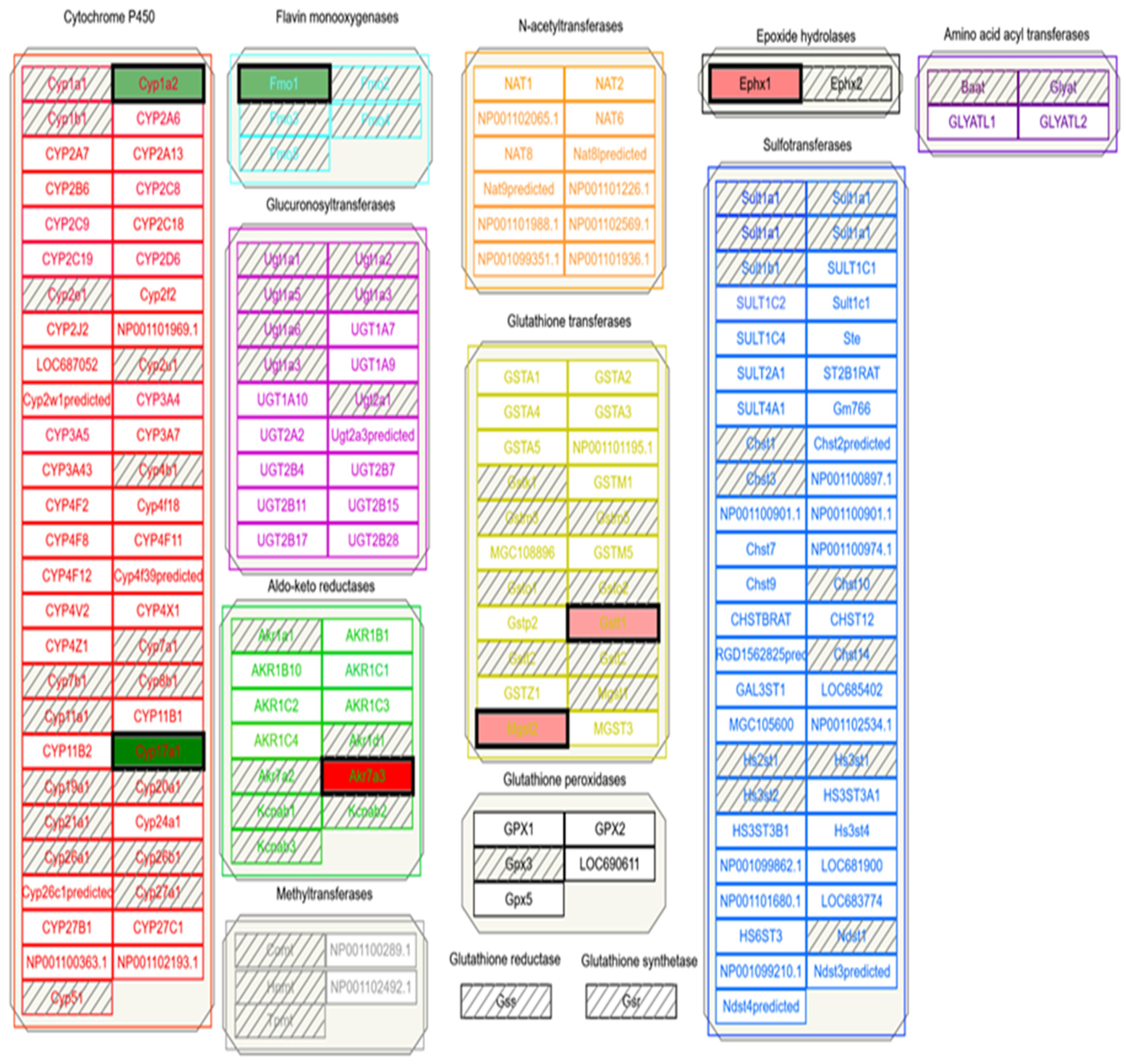 Medicines 06 00079 g005 Medicines 06 00079 g005