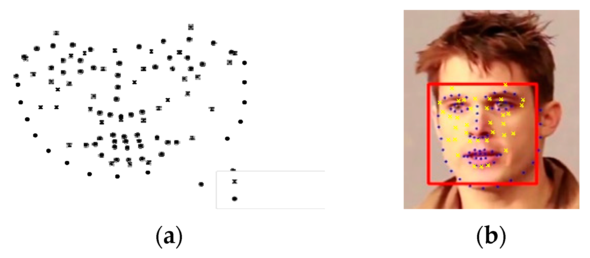 Medicines 06 00087 g005