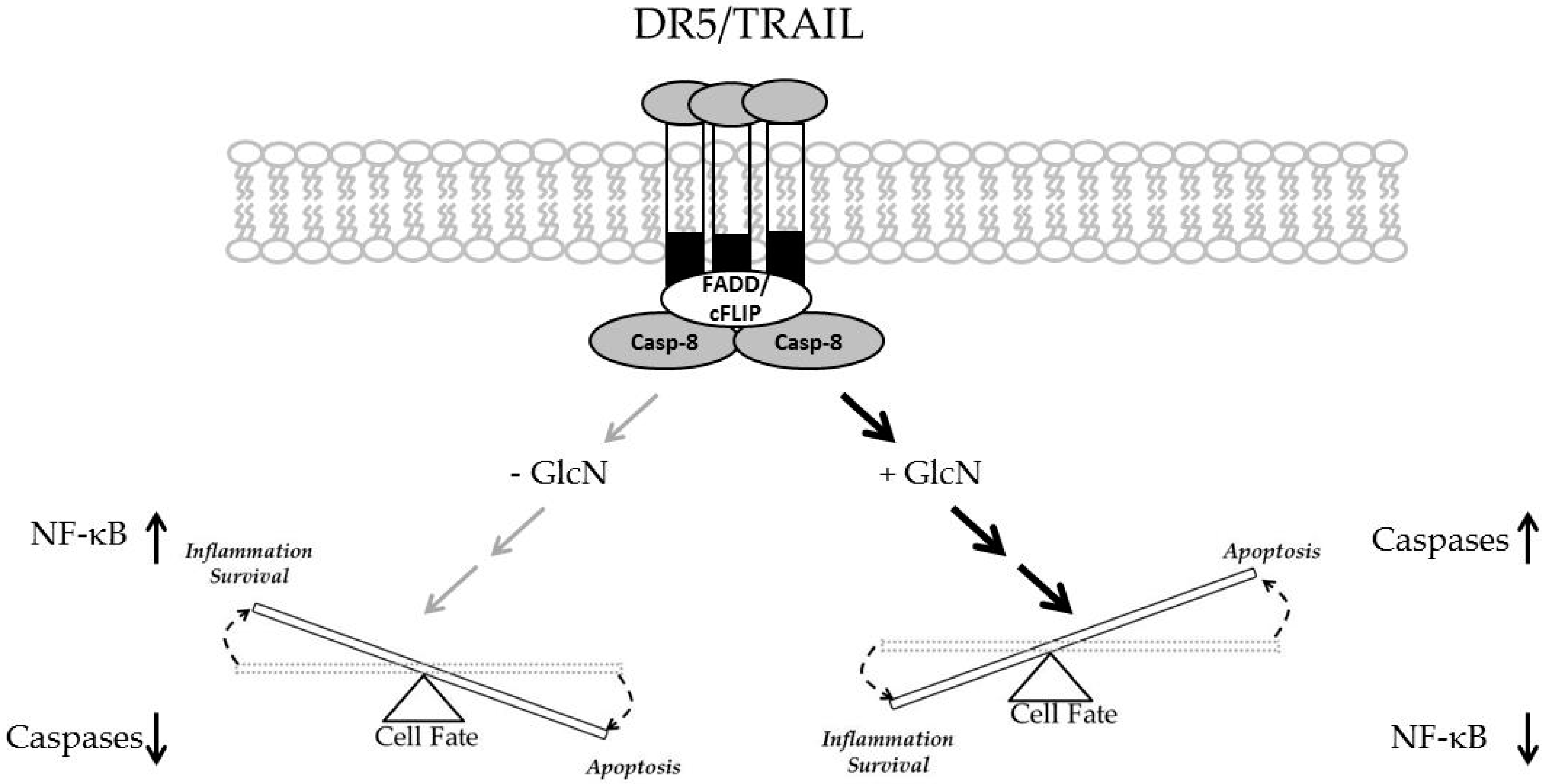Medicines 06 00104 g005