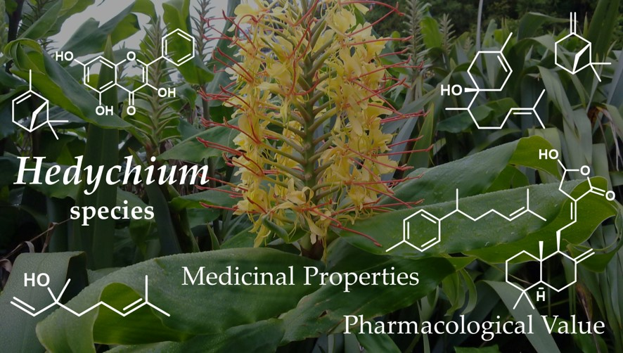 Medicines | Free Full-Text | Uncharted Source of Medicinal Products: The  Case of the Hedychium Genus | HTML
