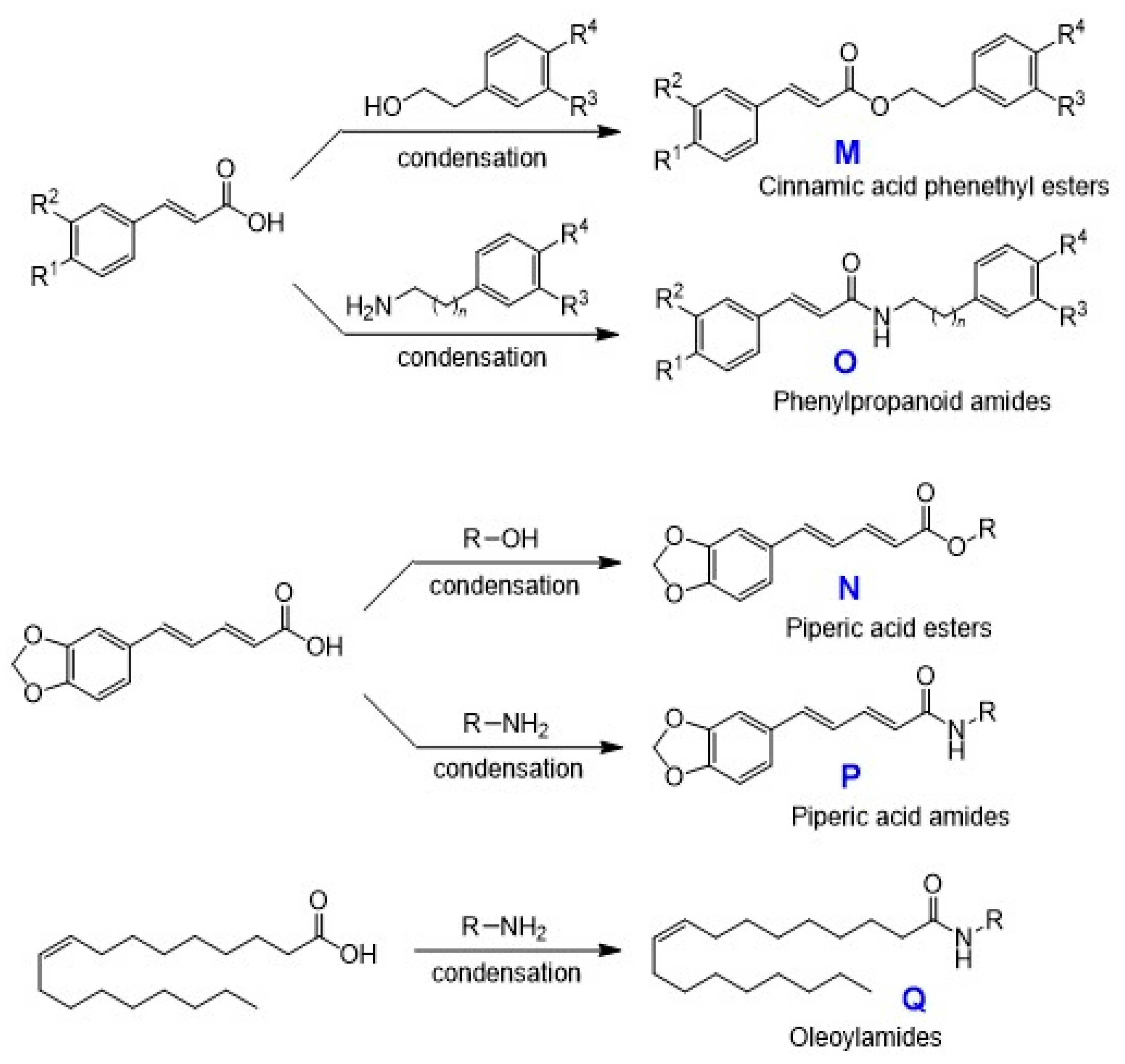 Medicines 07 00050 g006
