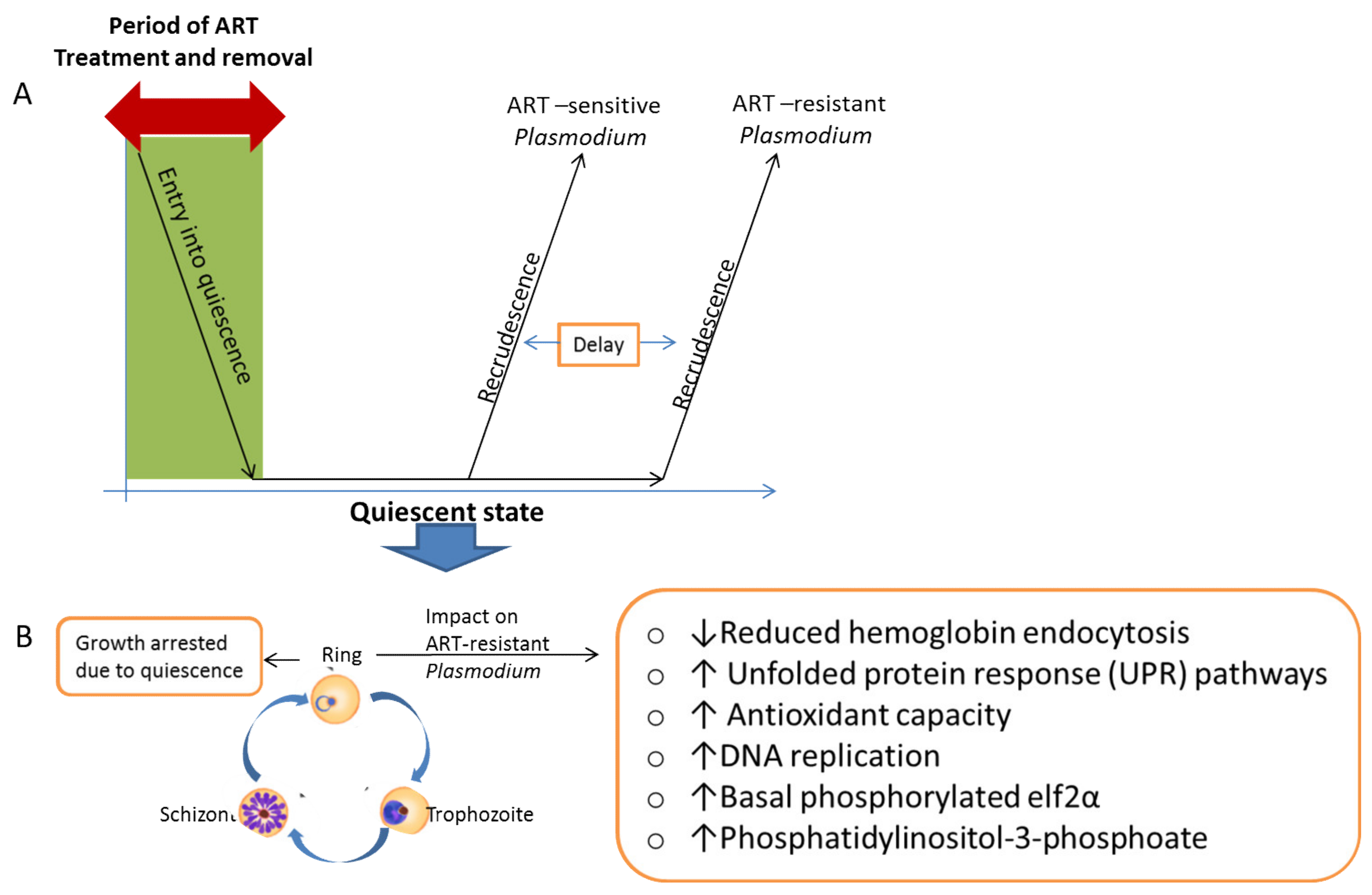 Medicines 09 00002 g002
