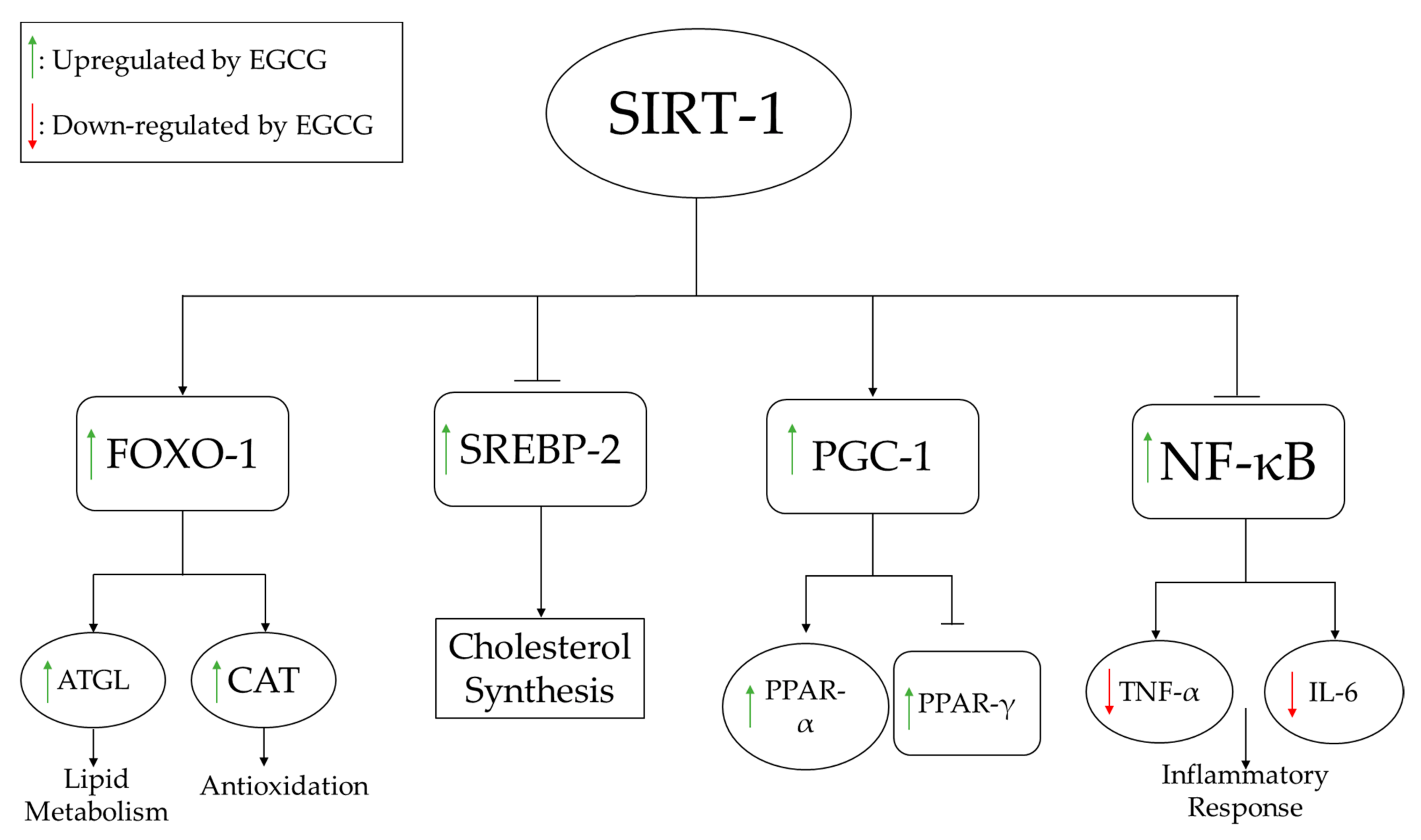 Medicines 09 00020 g003