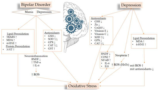 Medicines | Free Full-Text | The Role of Equilibrium between Free Radicals  and Antioxidants in Depression and Bipolar Disorder