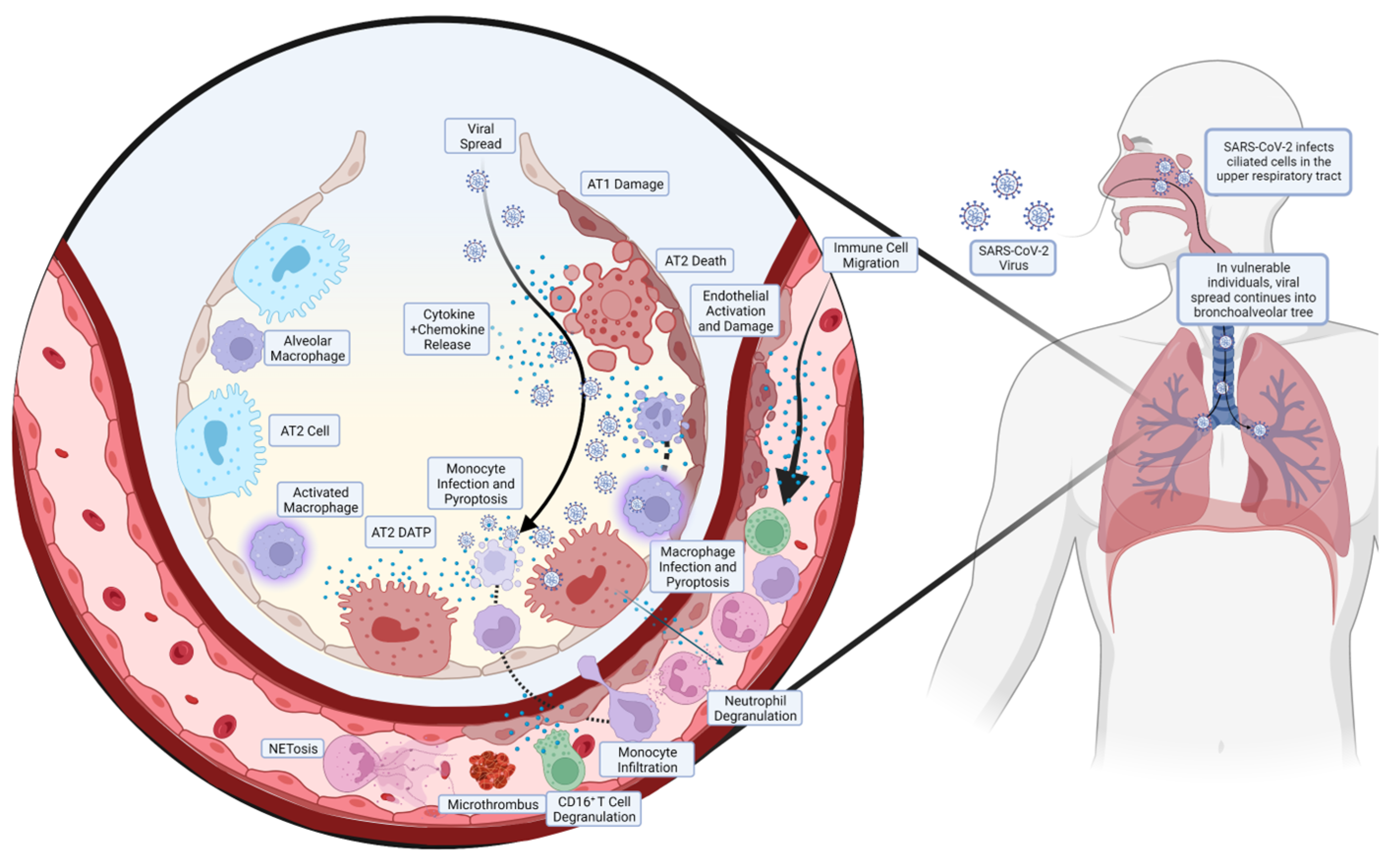 Medicines 11 00014 g001