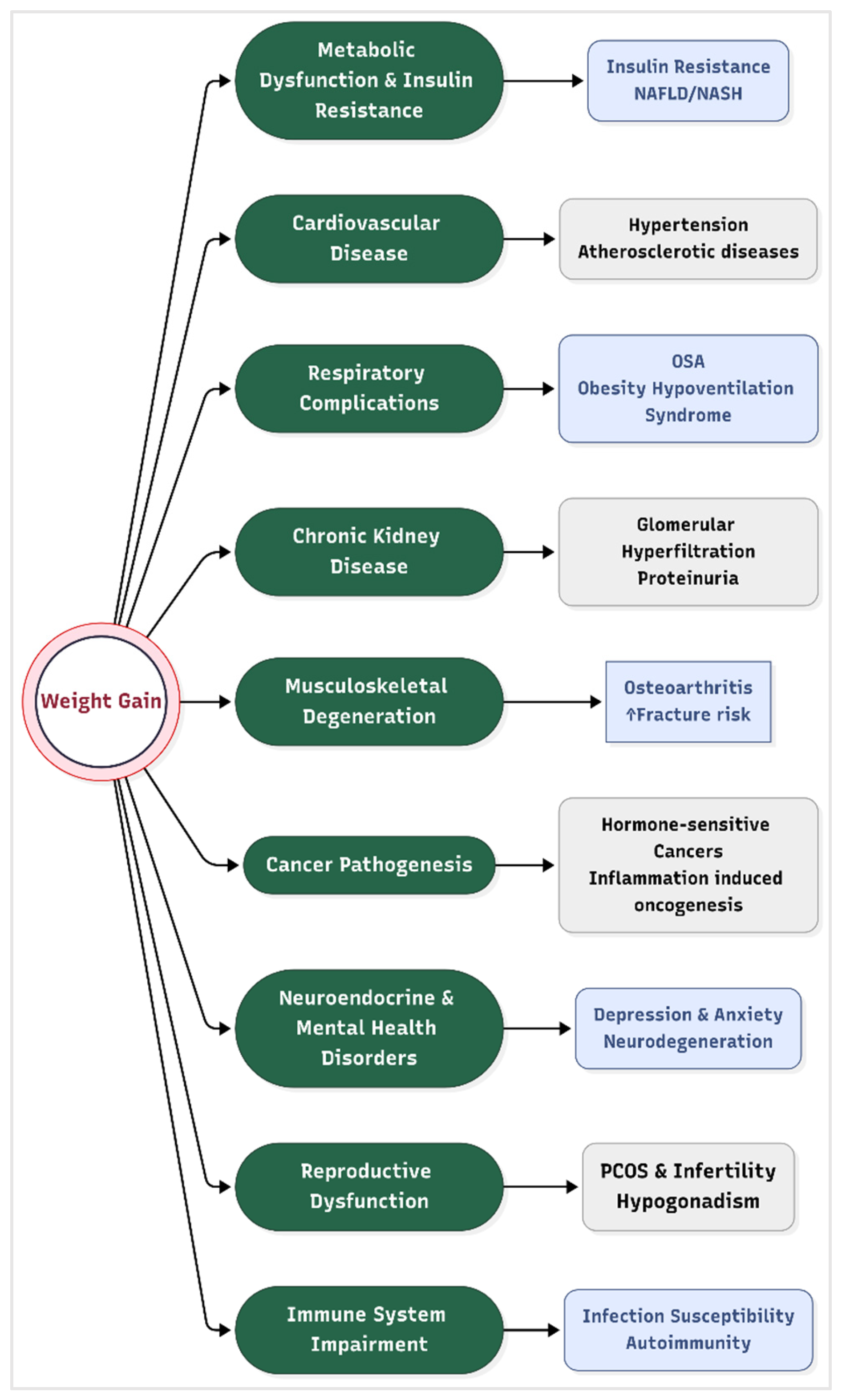 Medicines 12 00019 g002