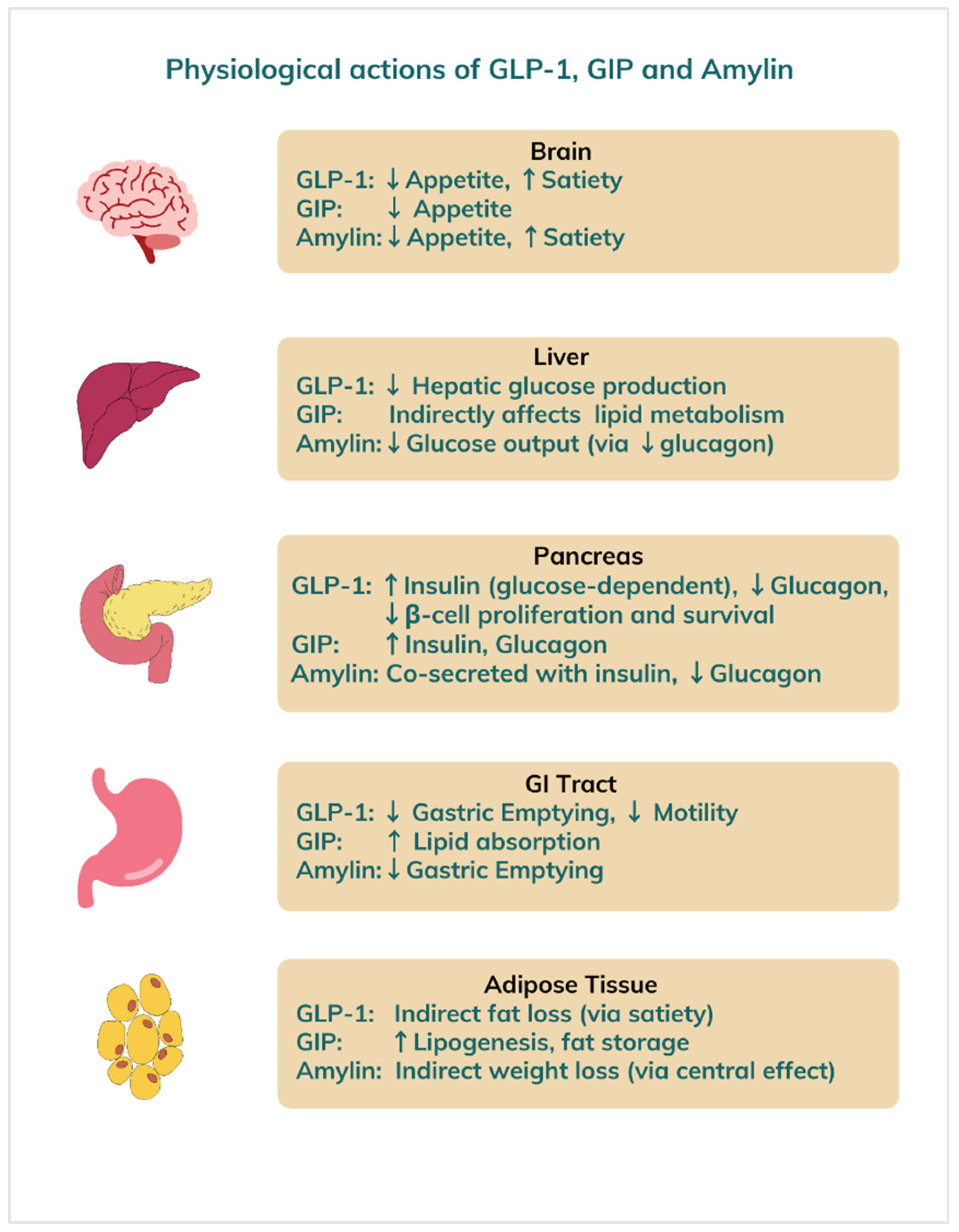 Medicines 12 00019 g003
