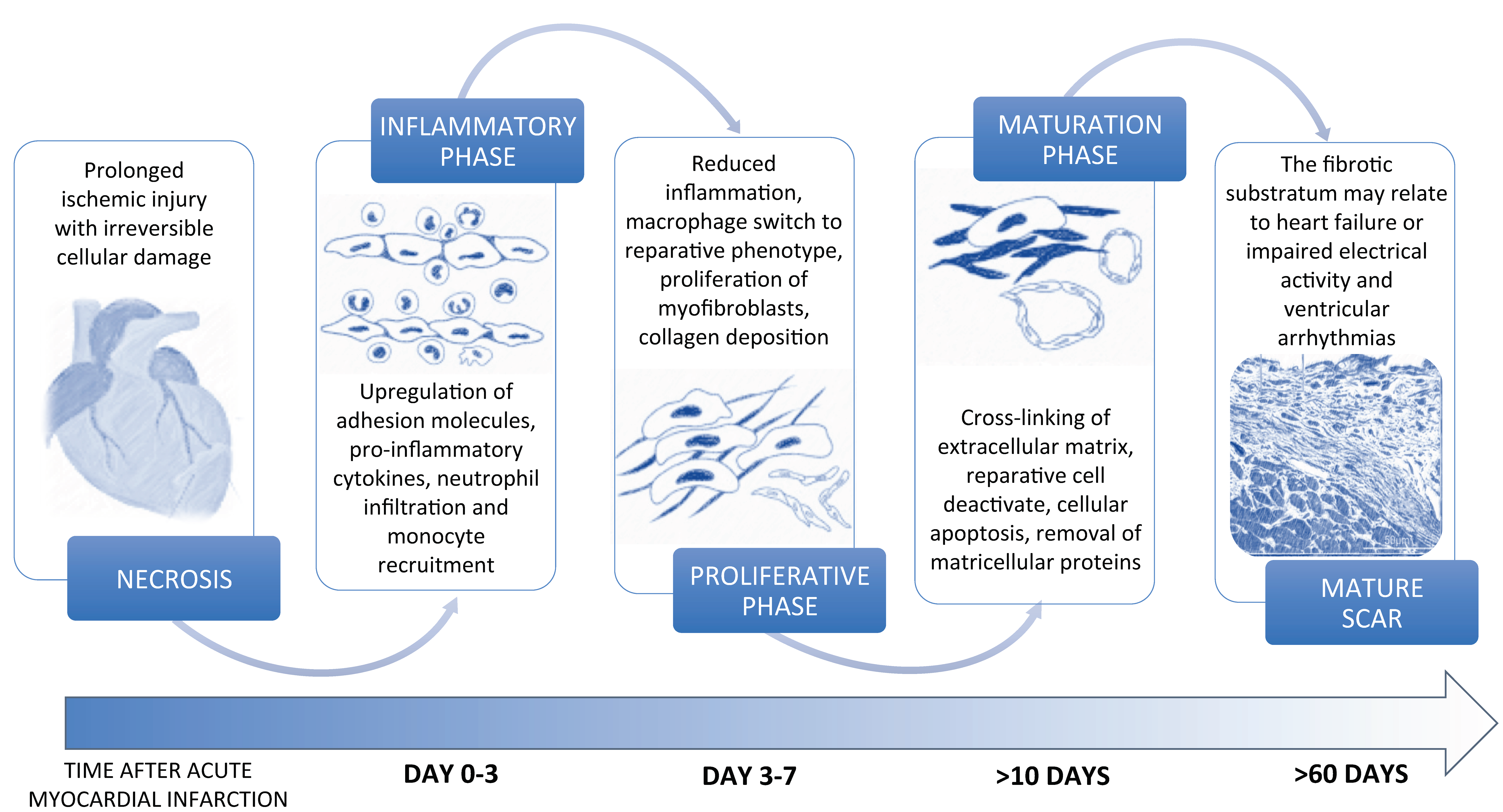 https://www.mdpi.com/medsci/medsci-09-00016/article_deploy/html/images/medsci-09-00016-g001.png