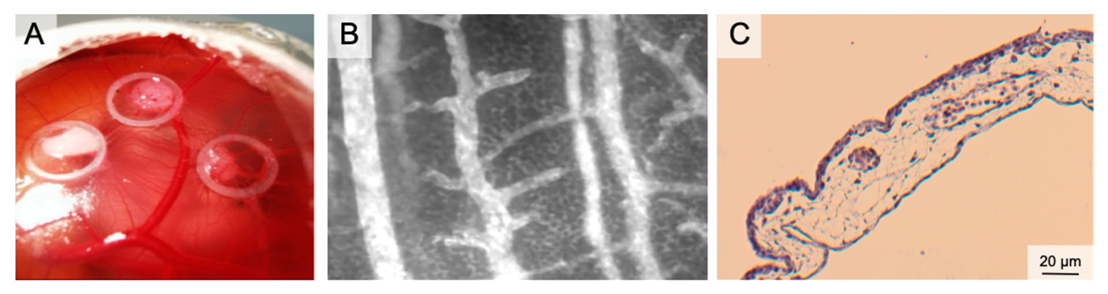 Medsci 09 00055 g003