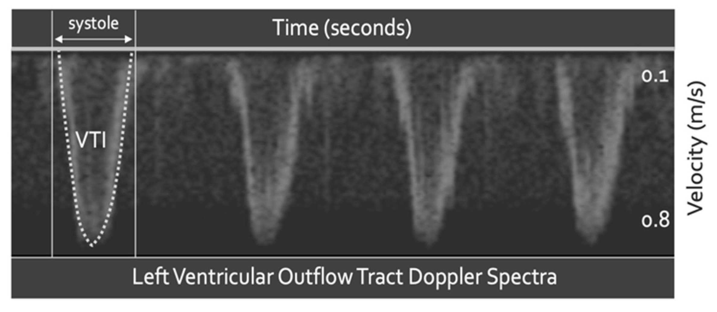Medsci 10 00012 g002