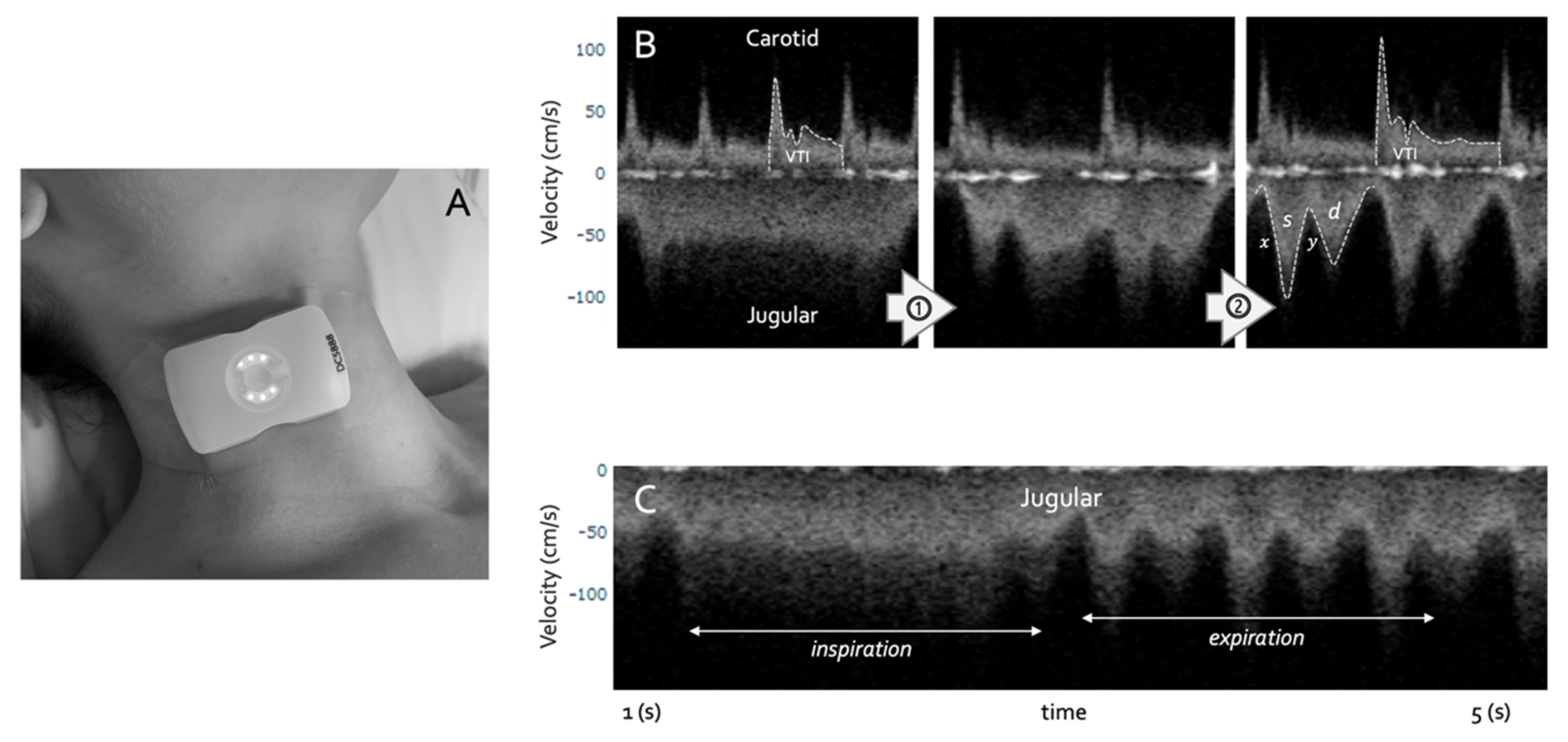 Medsci 10 00012 g004