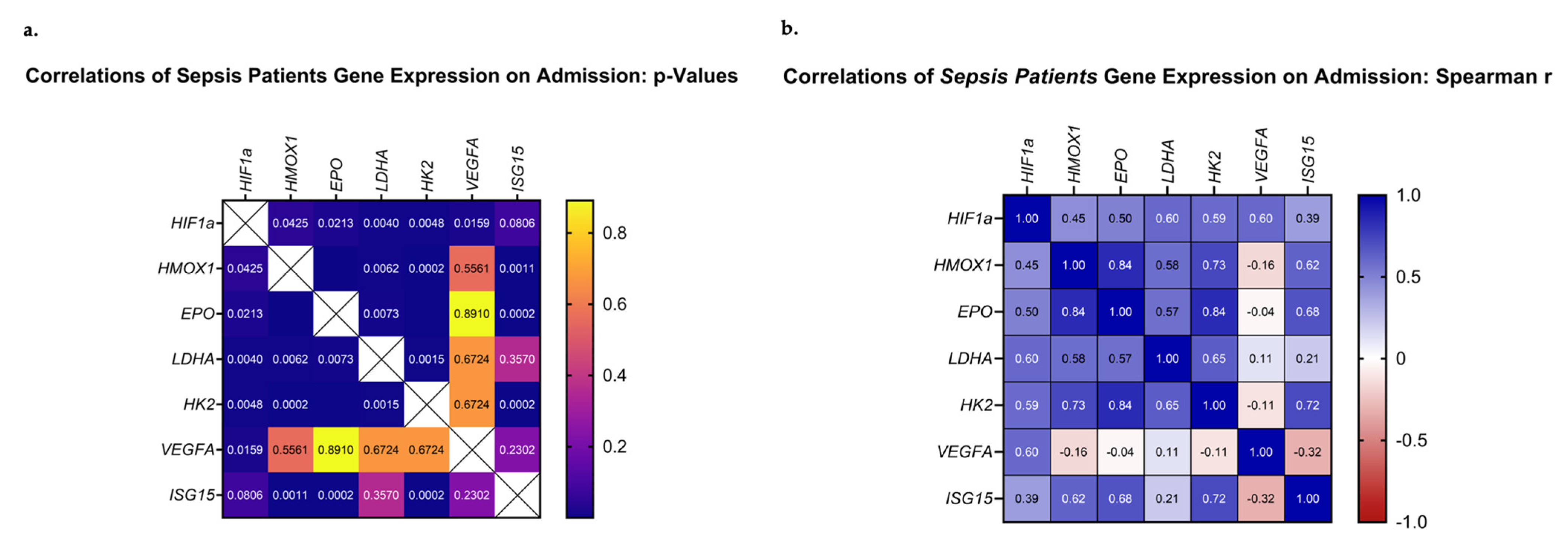 Medsci 11 00041 g005