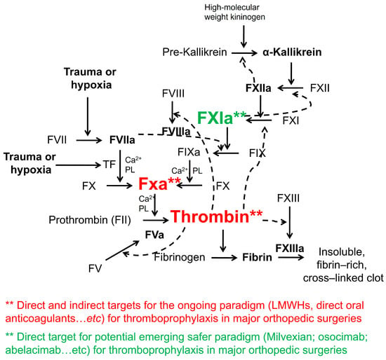 PDF] Comparison of Clinical and Physiological Efficacies of Different  Intermittent Sequential Pneumatic Compression Devices in Preventing Deep  Vein Thrombosis: A Prospective Randomized Study