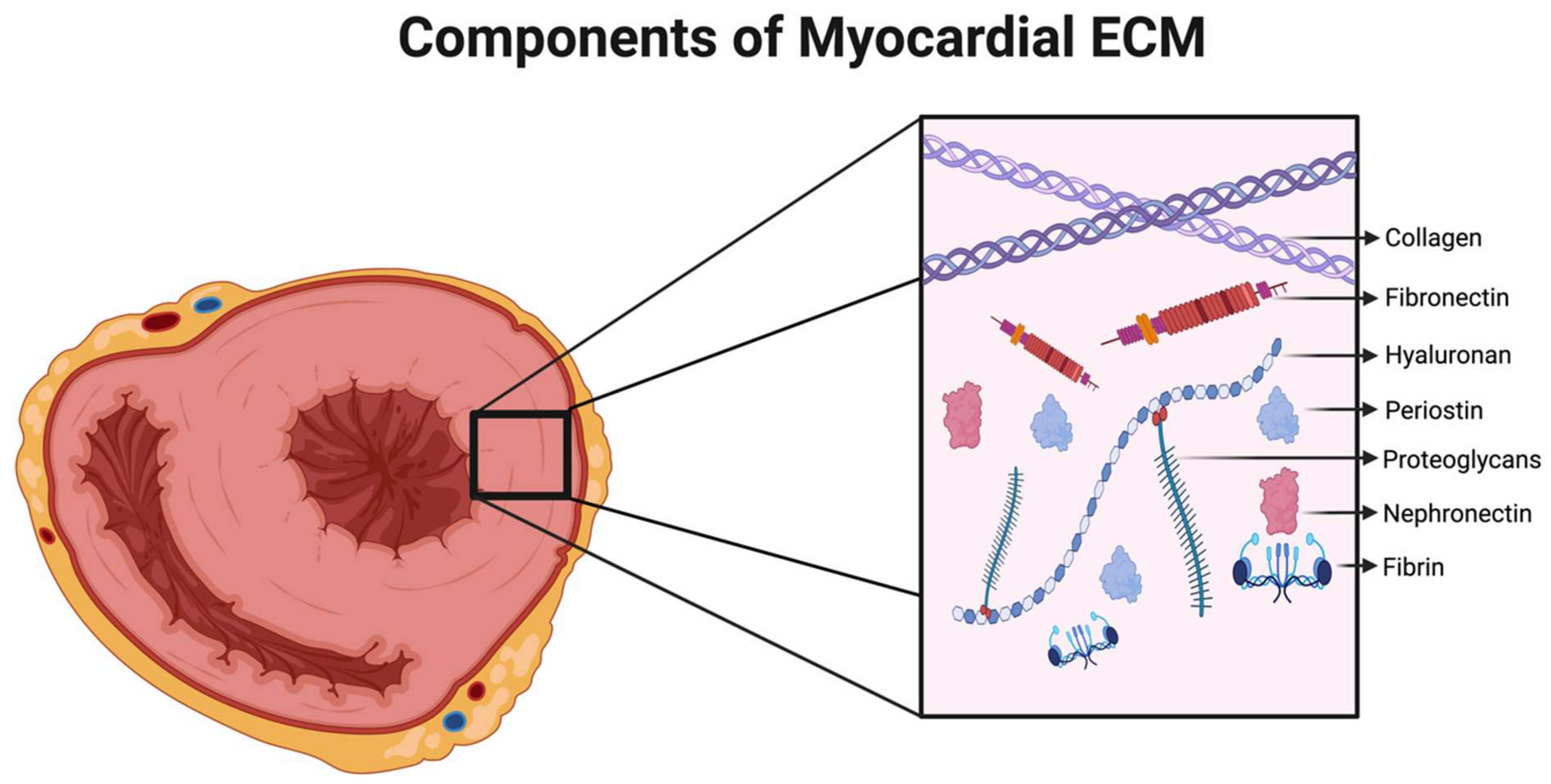 Medsci 12 00008 g001 Medsci 12 00008 g001
