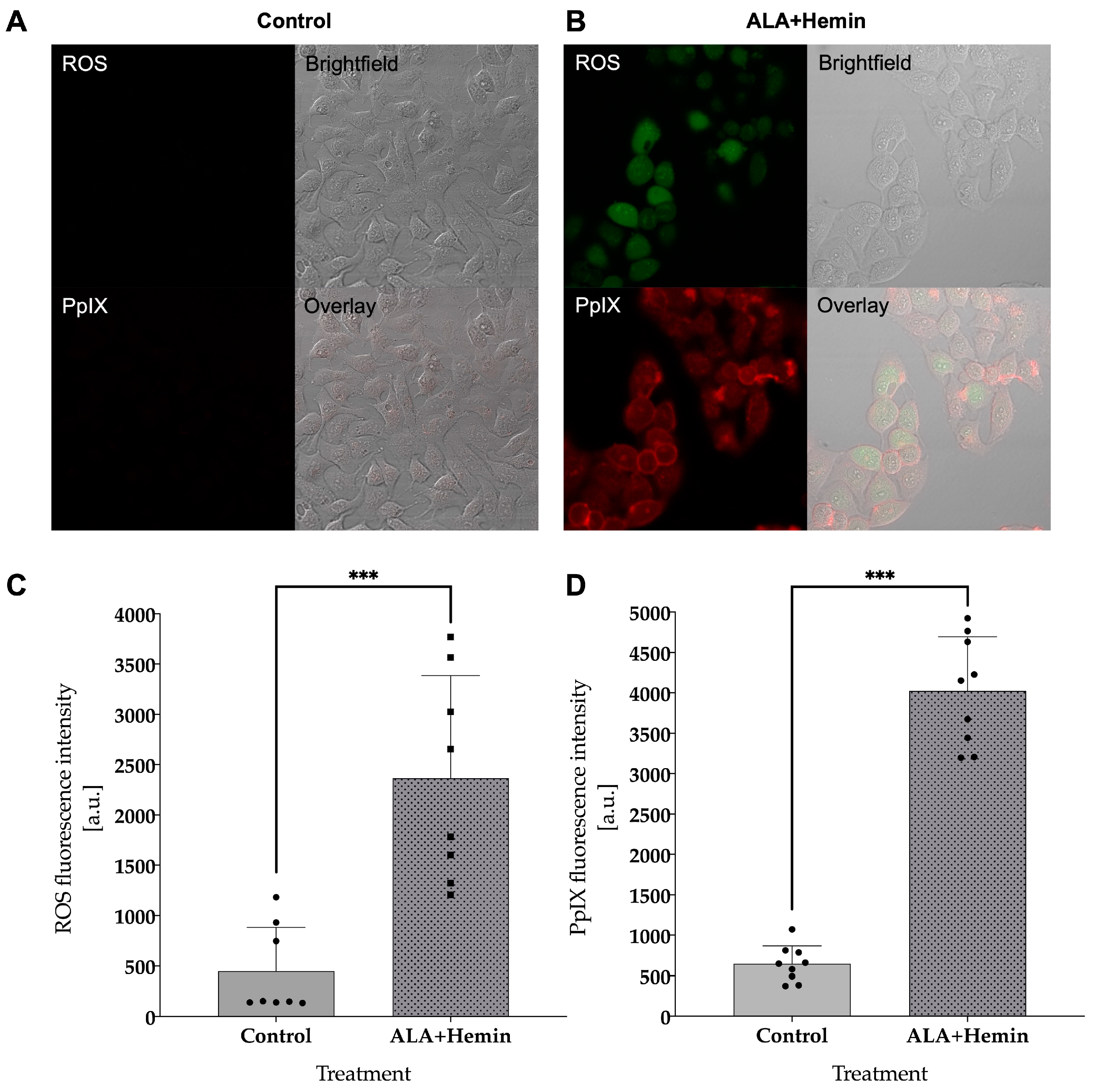 Medsci 12 00066 g003