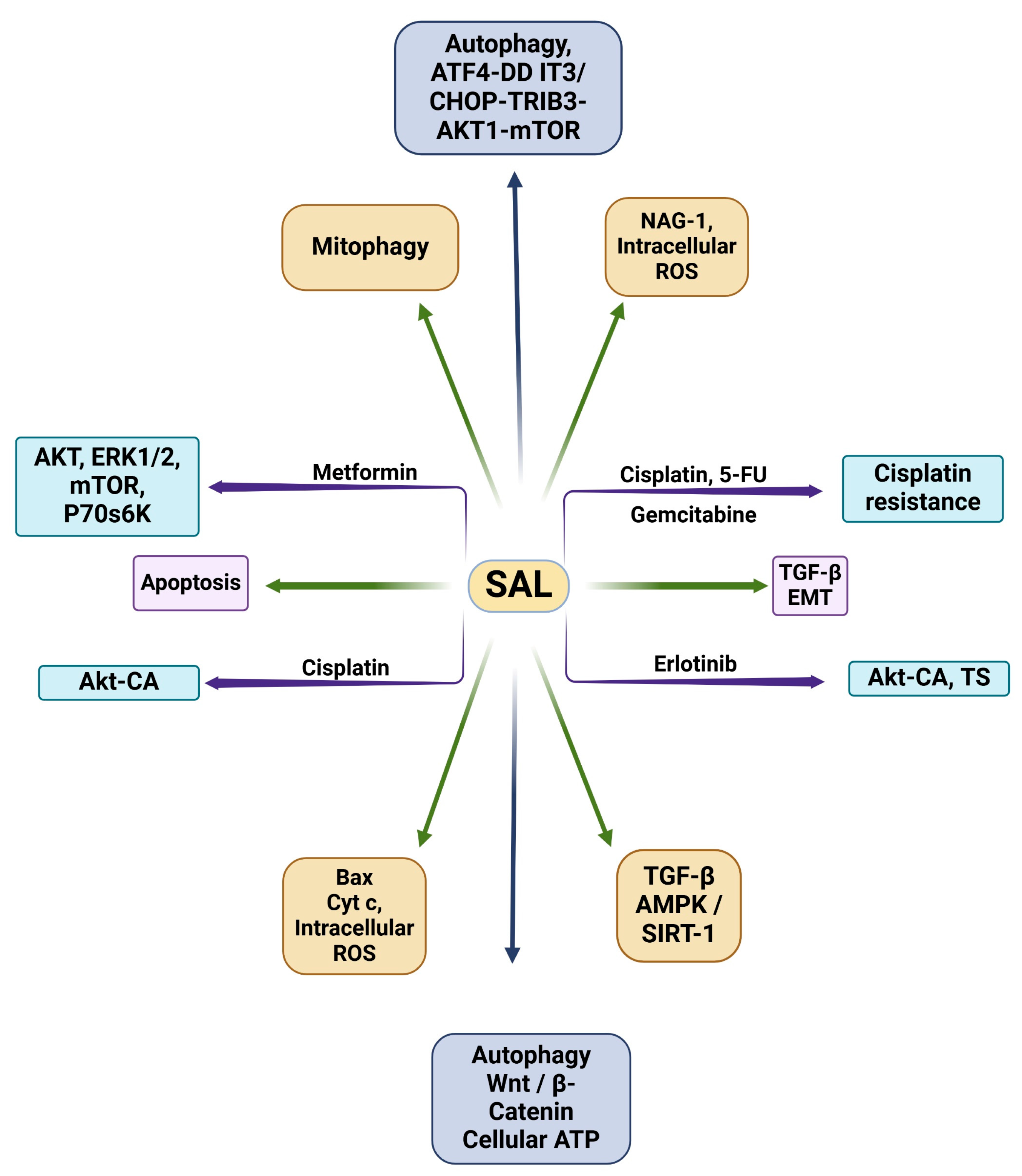 Medsci 13 00047 g002