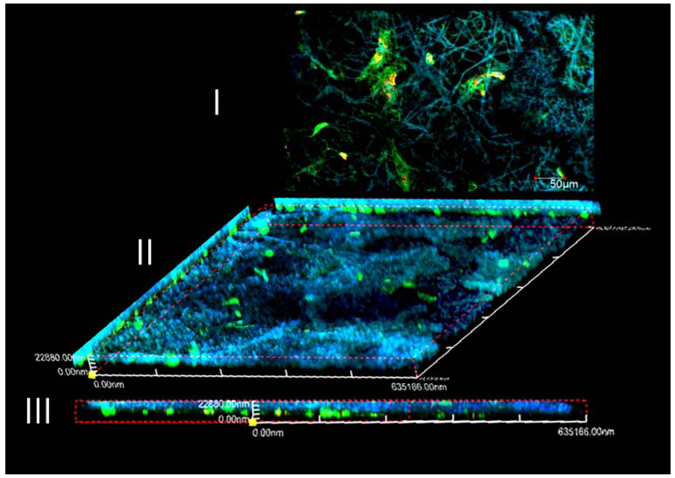 Membranes 01 00275f12 1024