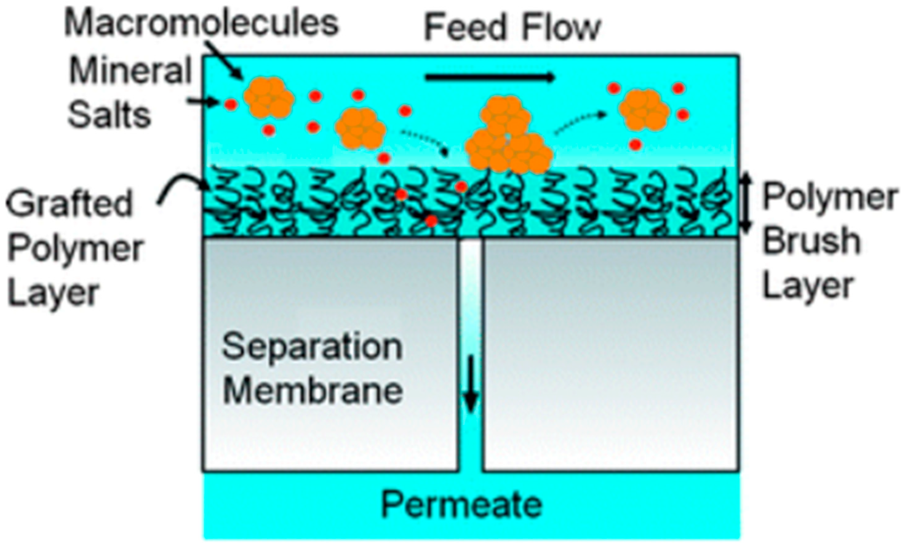 Modern methods of obtaining Reverse Osmosis thin-film membranes