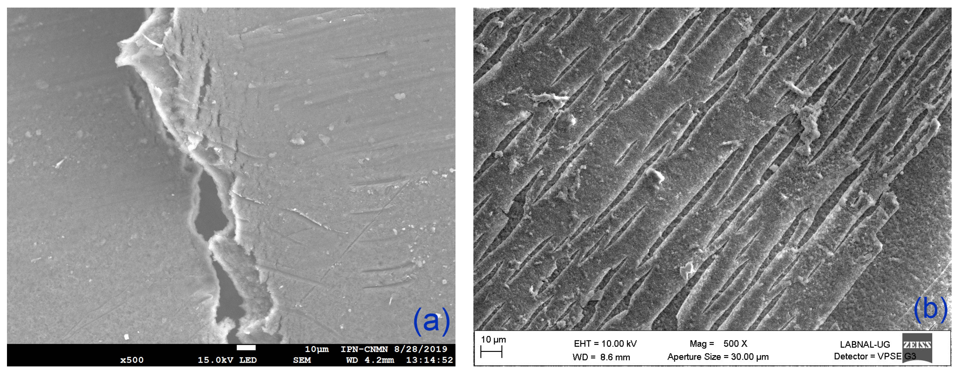 Membranes 09 00145 g004 Membranes 09 00145 g004