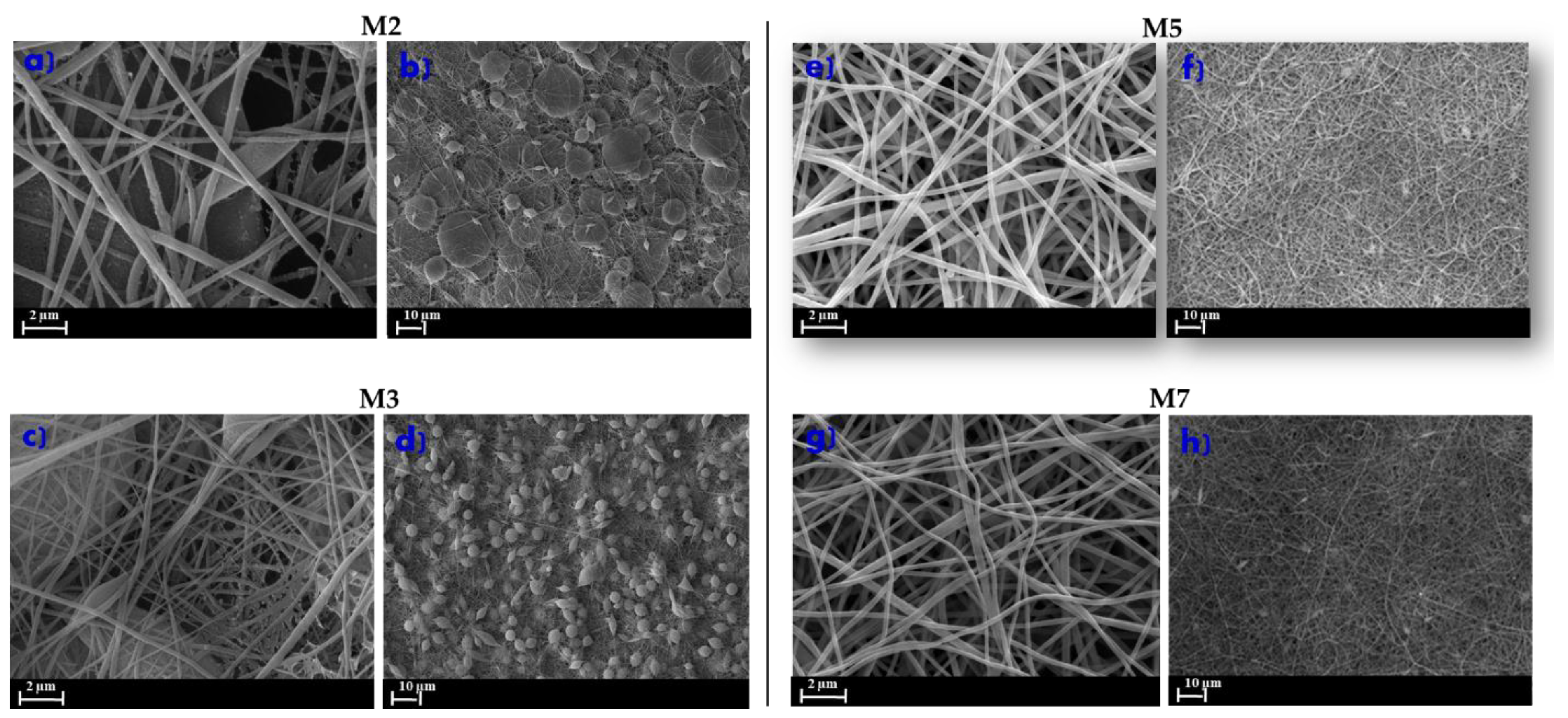 Membranes Free Full Text Innovative Poly Vinylidene Fluoride Pvdf Electrospun Nanofiber Membrane Preparation Using Dmso As A Low Toxicity Solvent Html