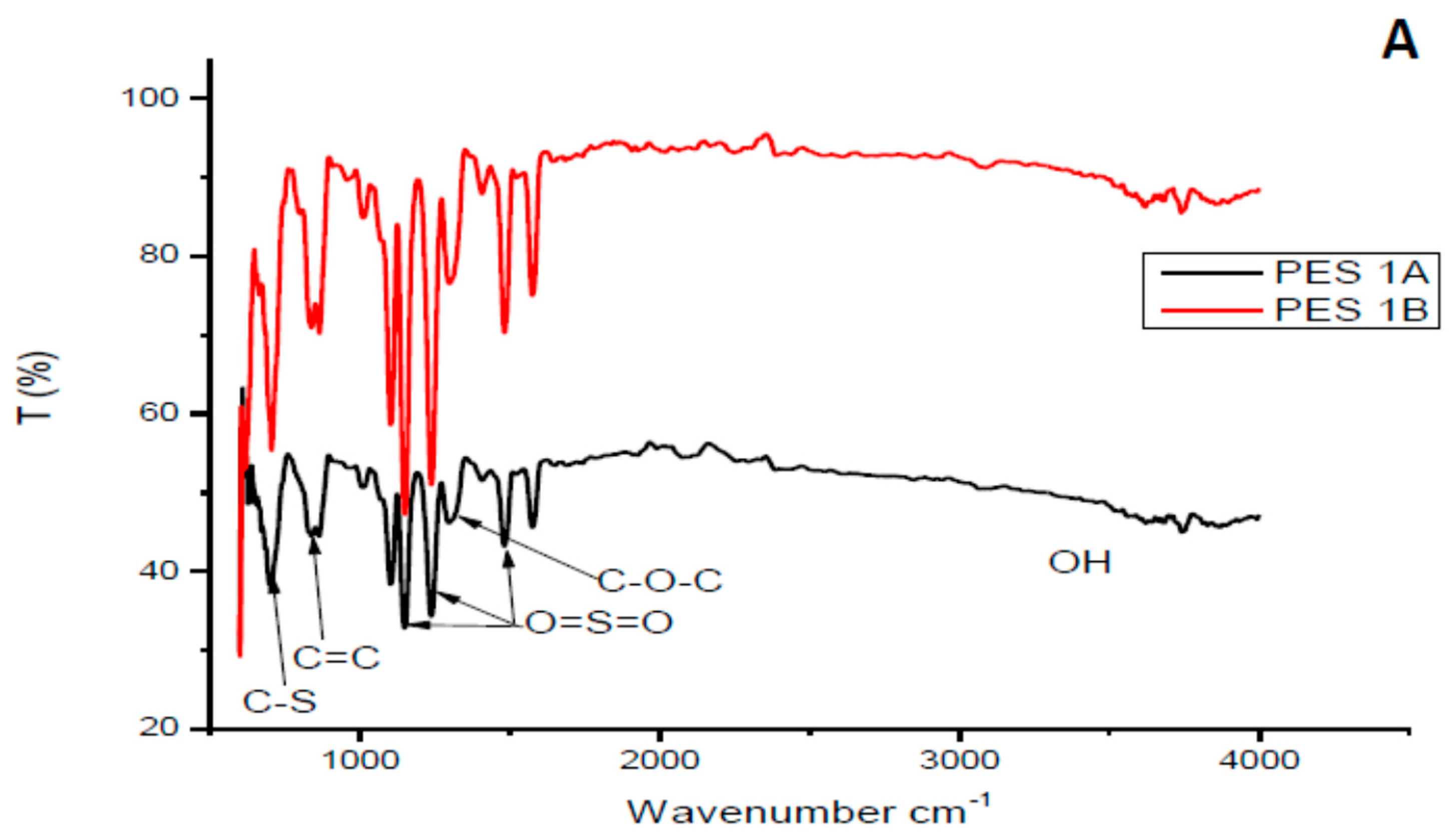 Membranes 10 00052 g002a