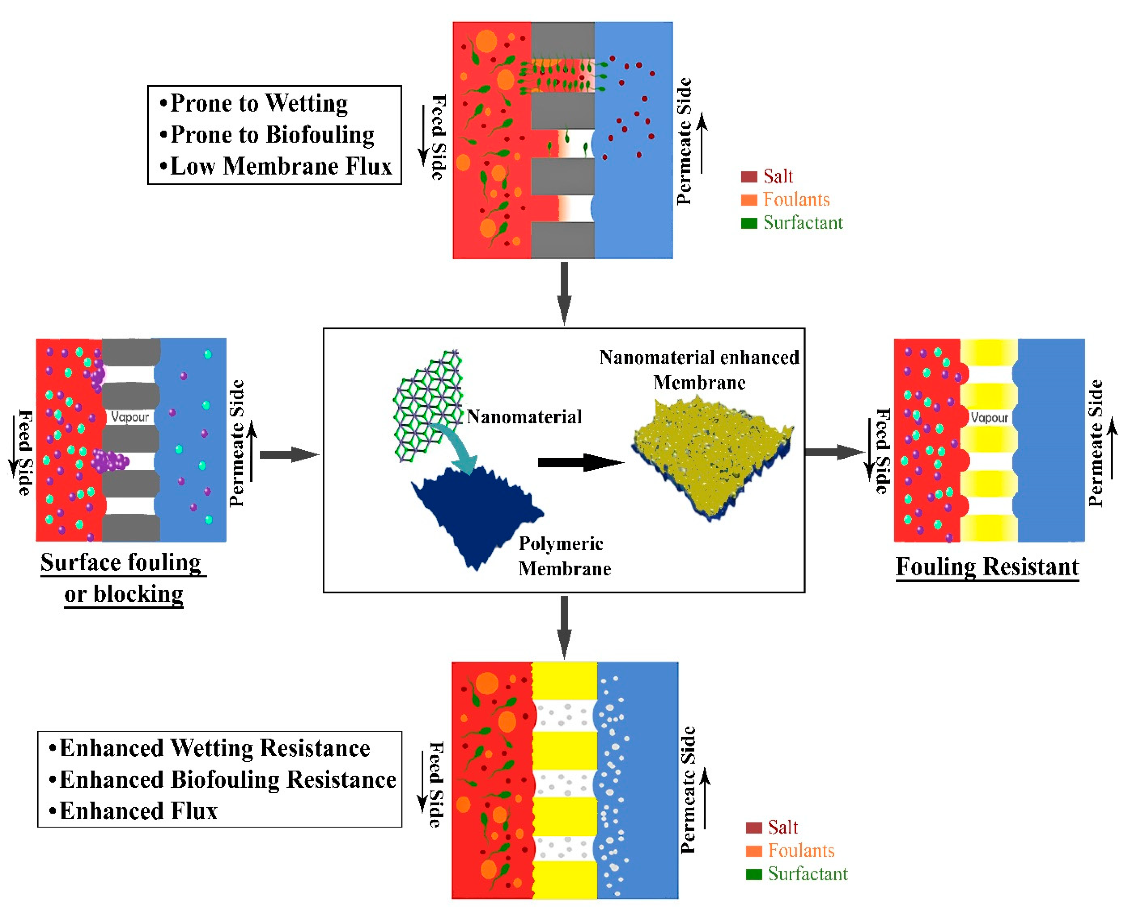 Membranes 10 00140 g003