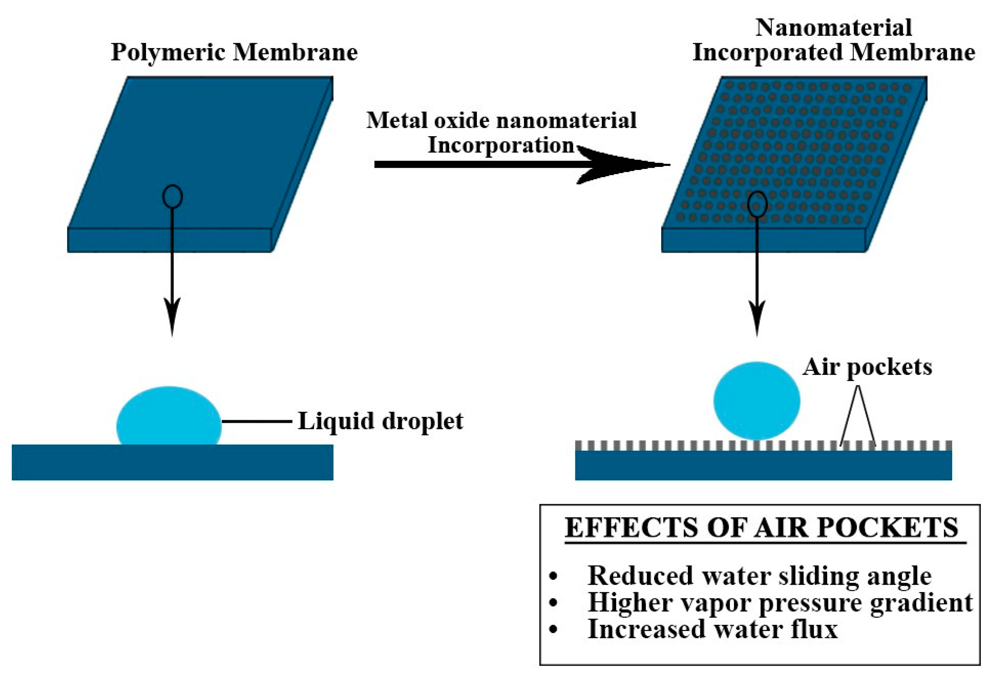 Membranes 10 00140 g008