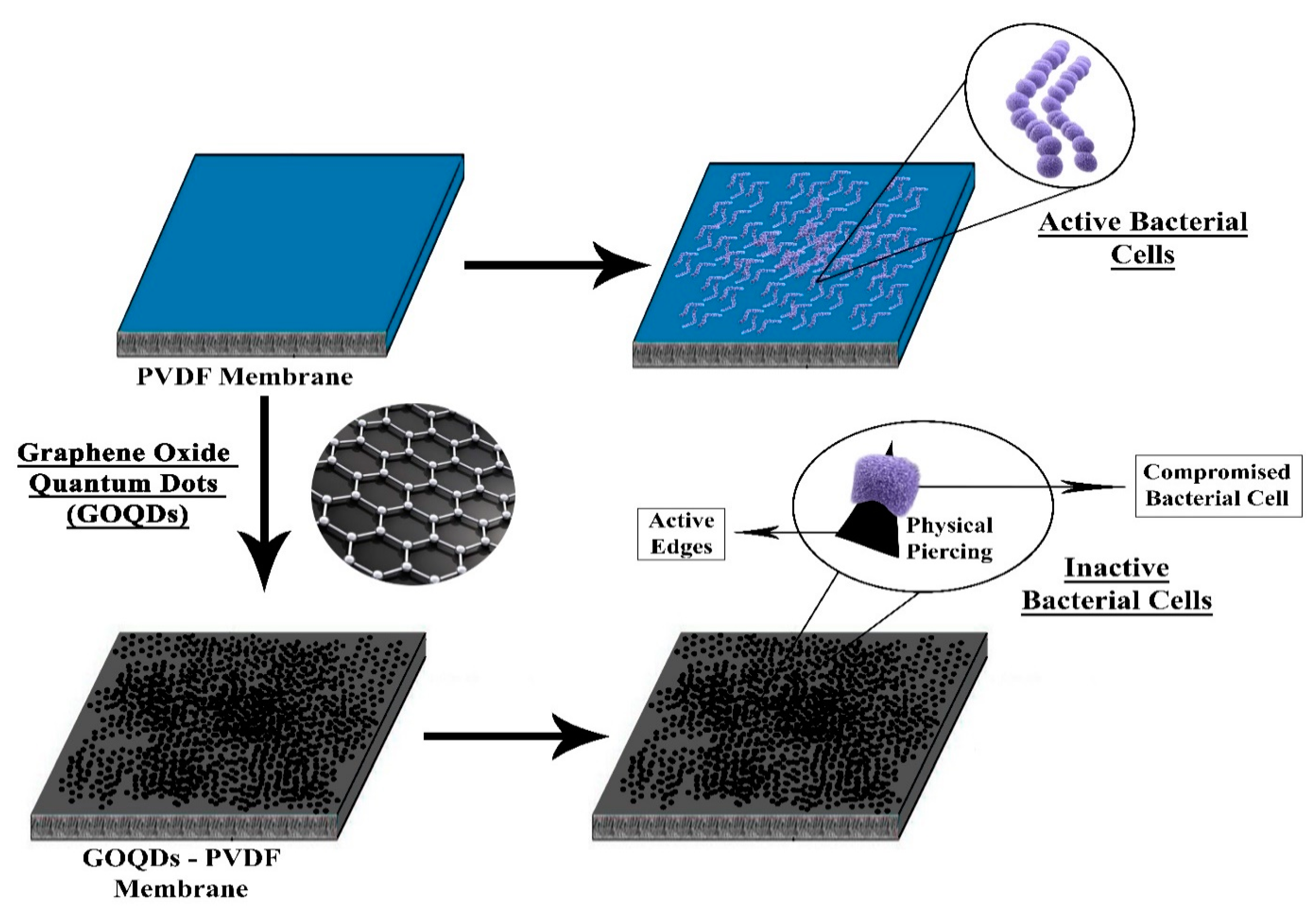 Membranes 10 00140 g010