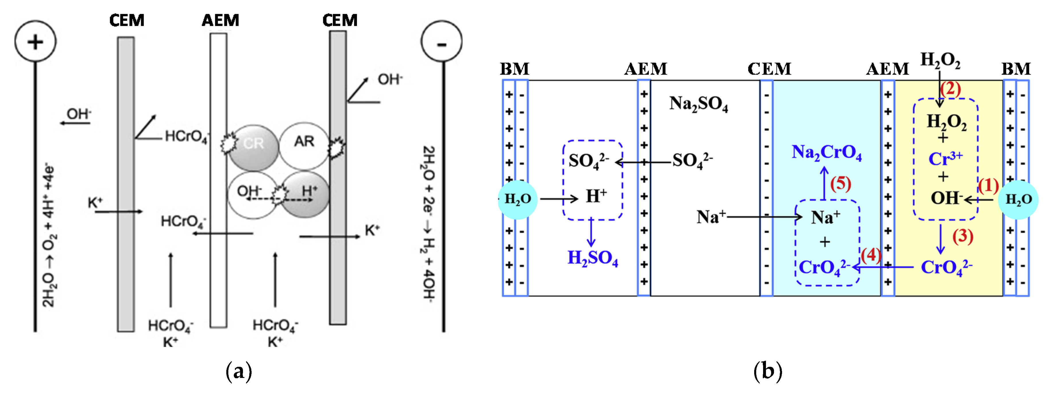 Membranes Free Full Text Electrodialysis Applications In Wastewater Treatment For Environmental Protection And Resources Recovery A Systematic Review On Progress And Perspectives Html