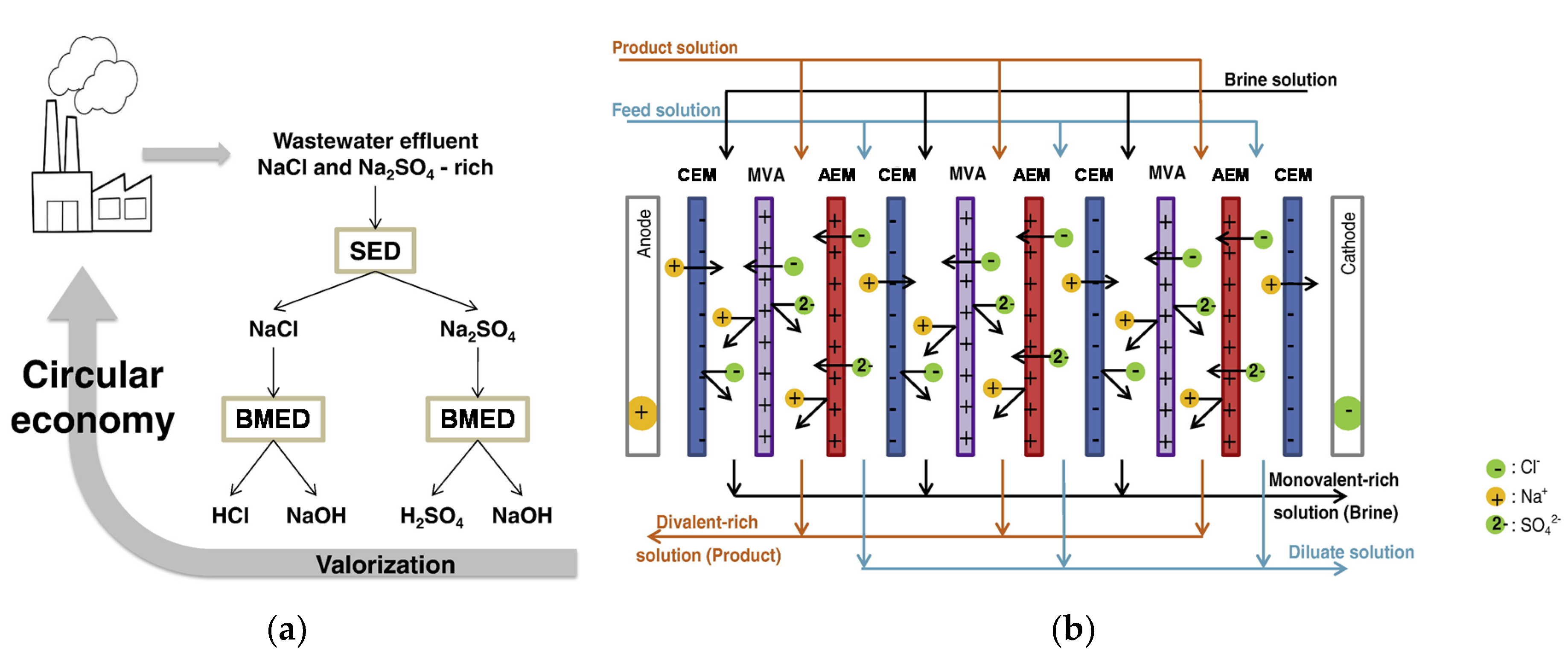 Membranes 10 00146 g015