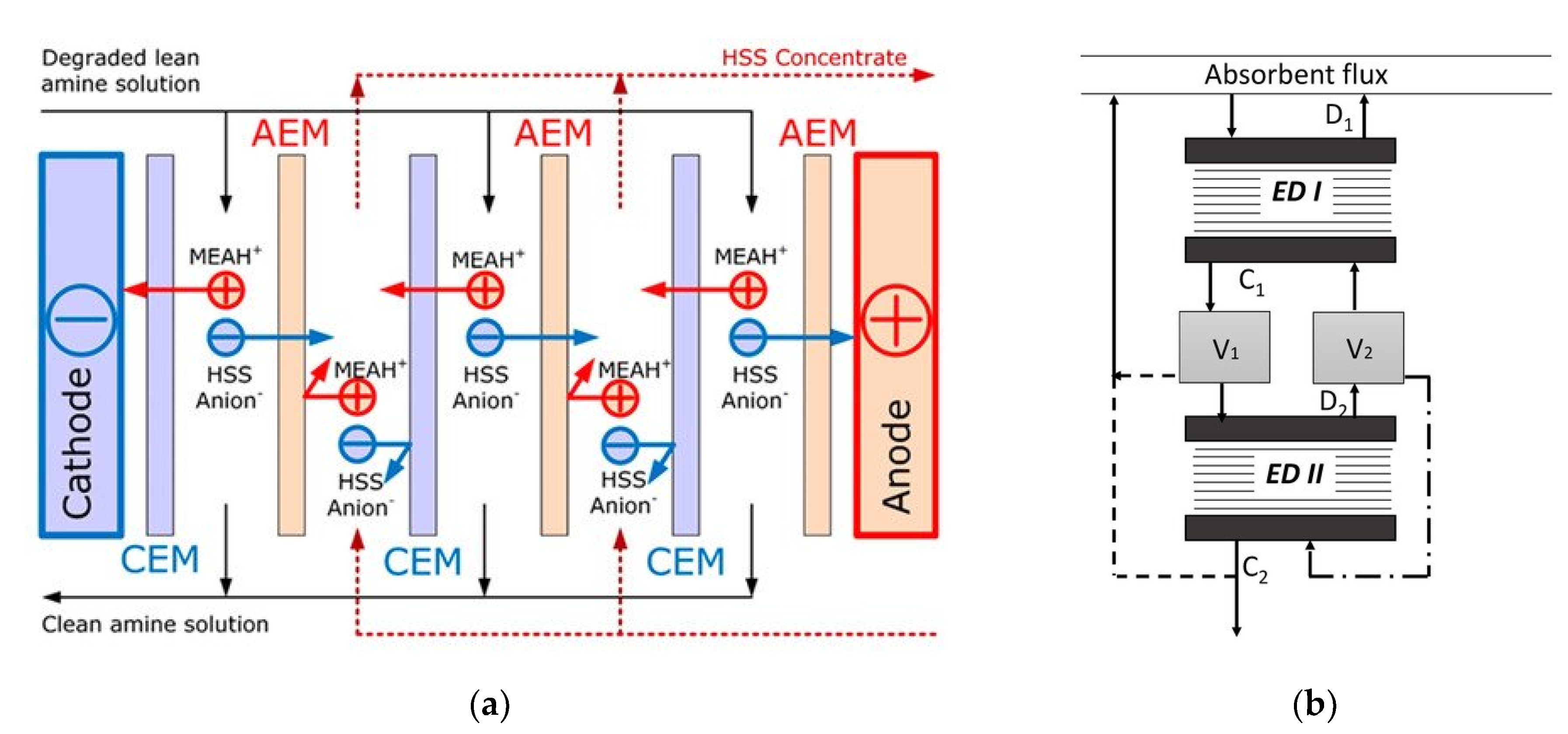 Membranes 10 00146 g017
