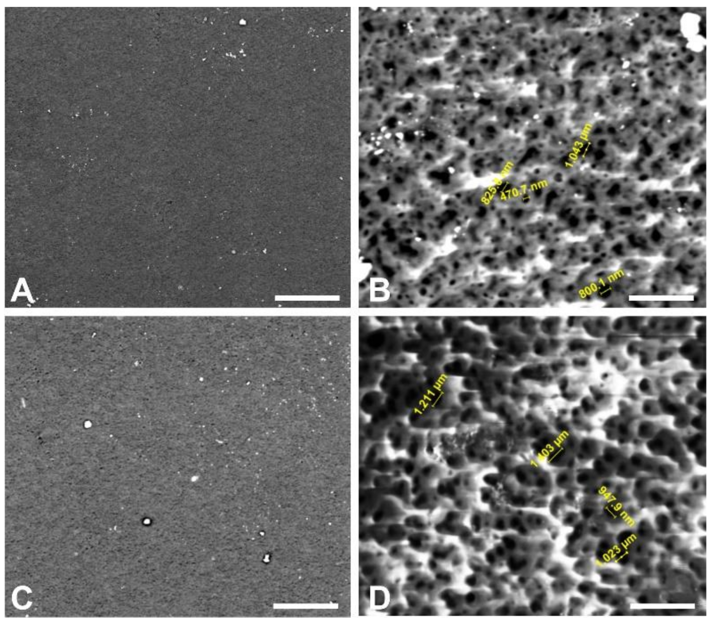 Membranes 10 00161 g002