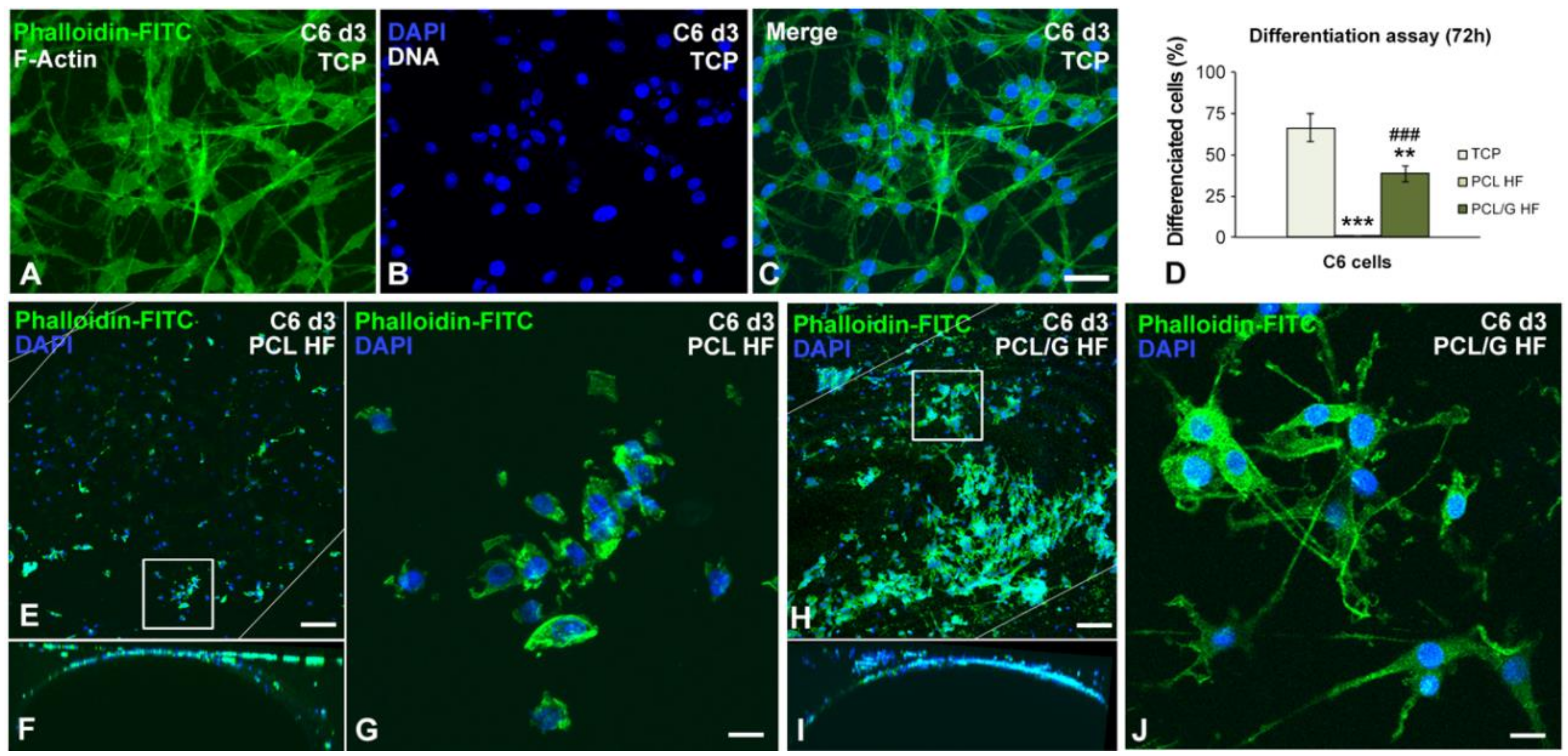 Membranes 10 00161 g006