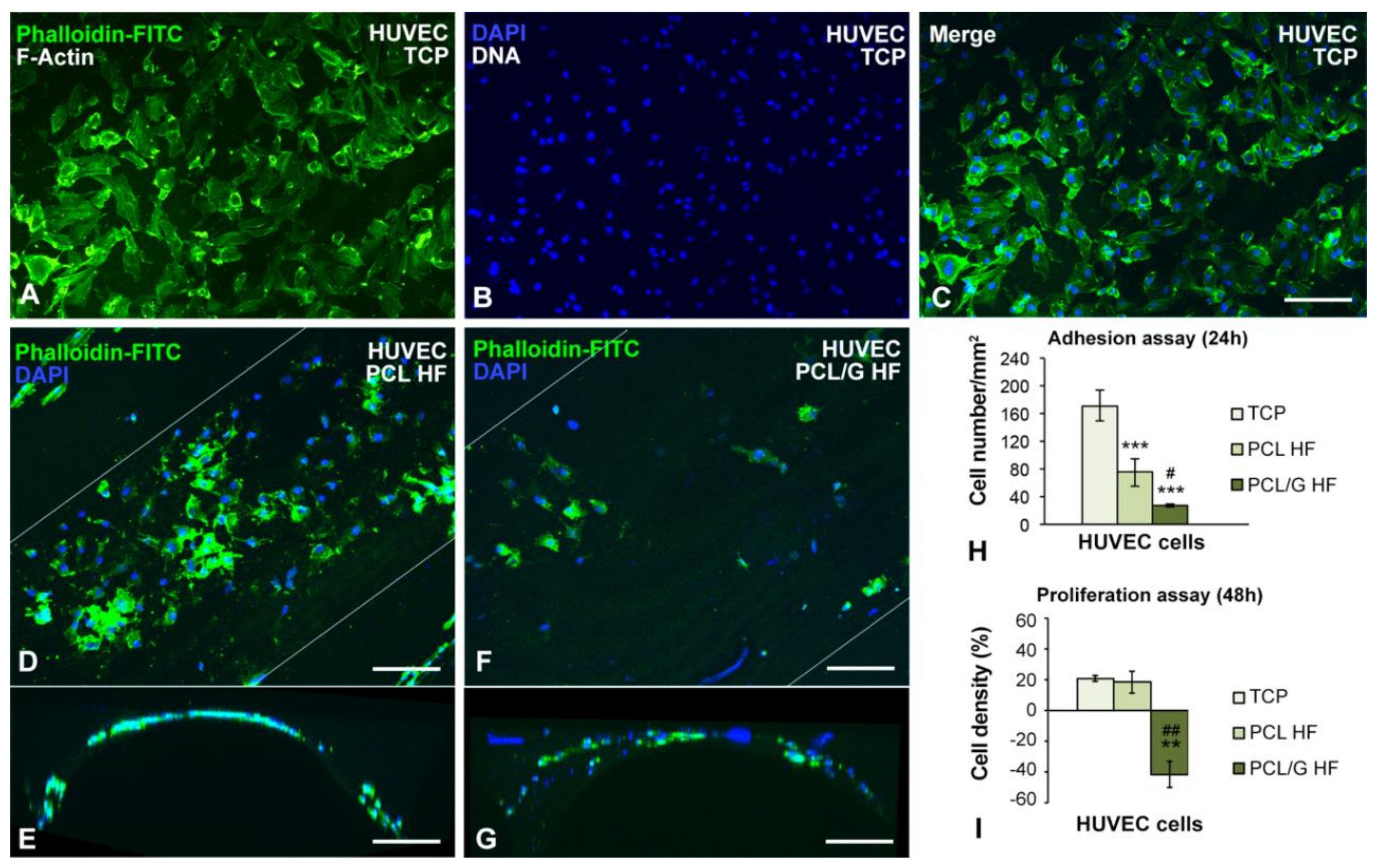 Membranes 10 00161 g007