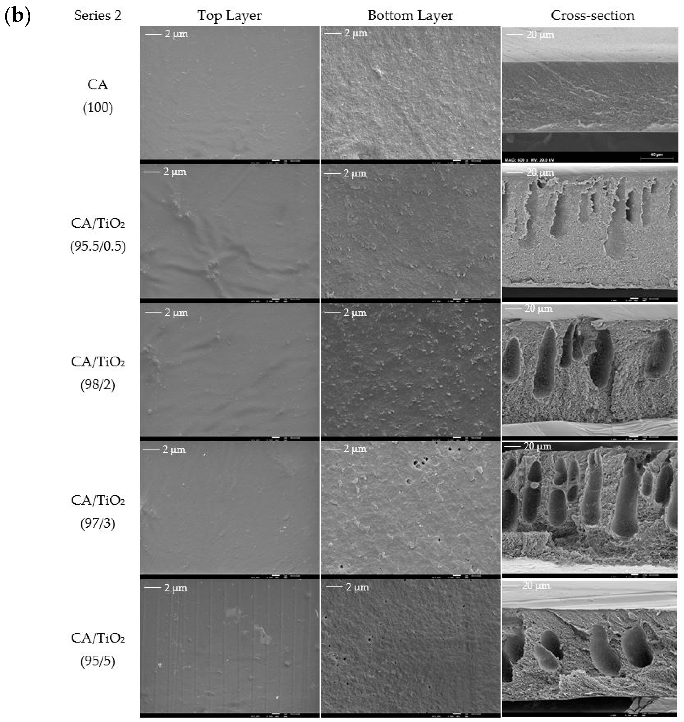 Membranes 10 00195 g003b