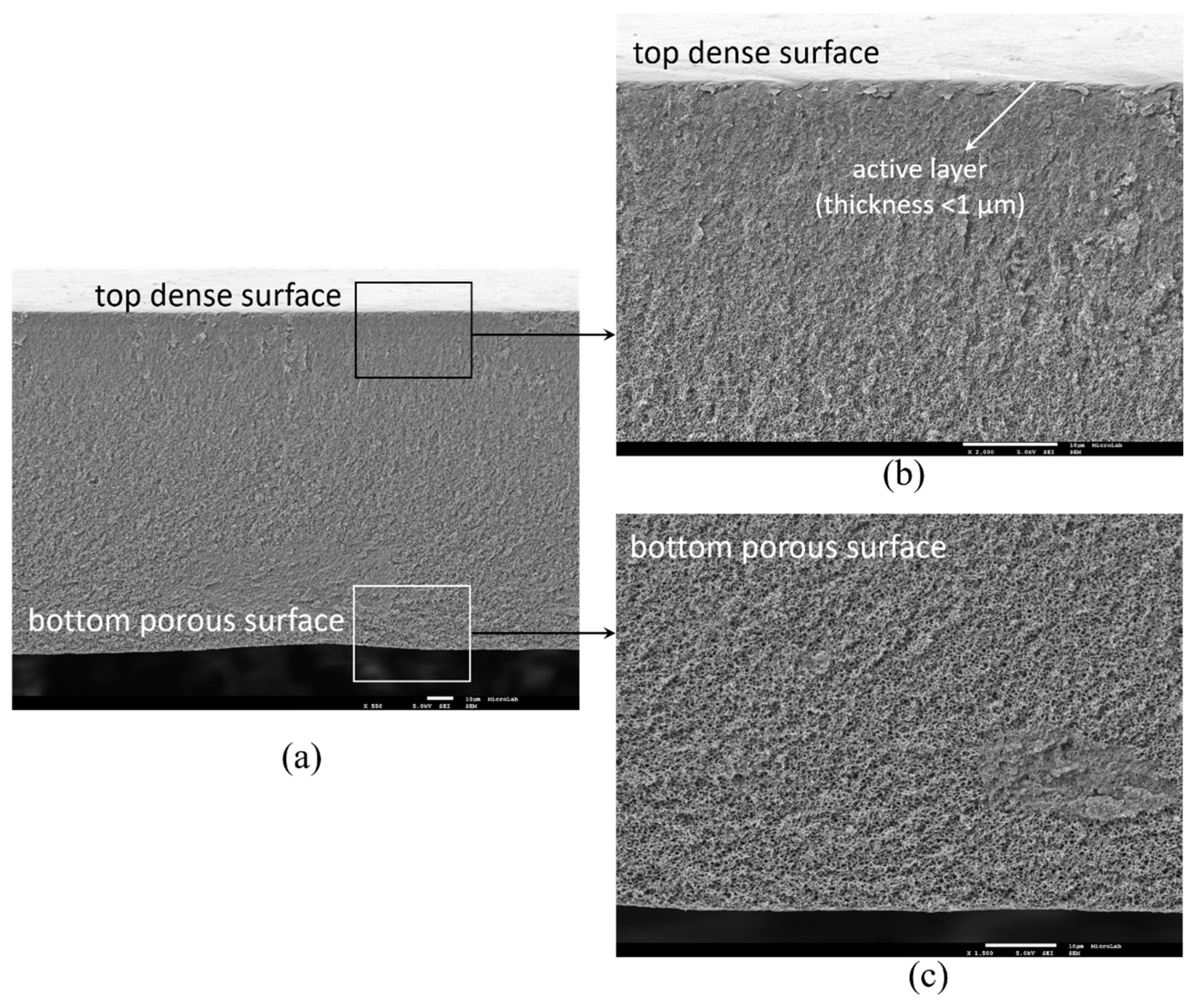 Membranes 10 00195 g0a10