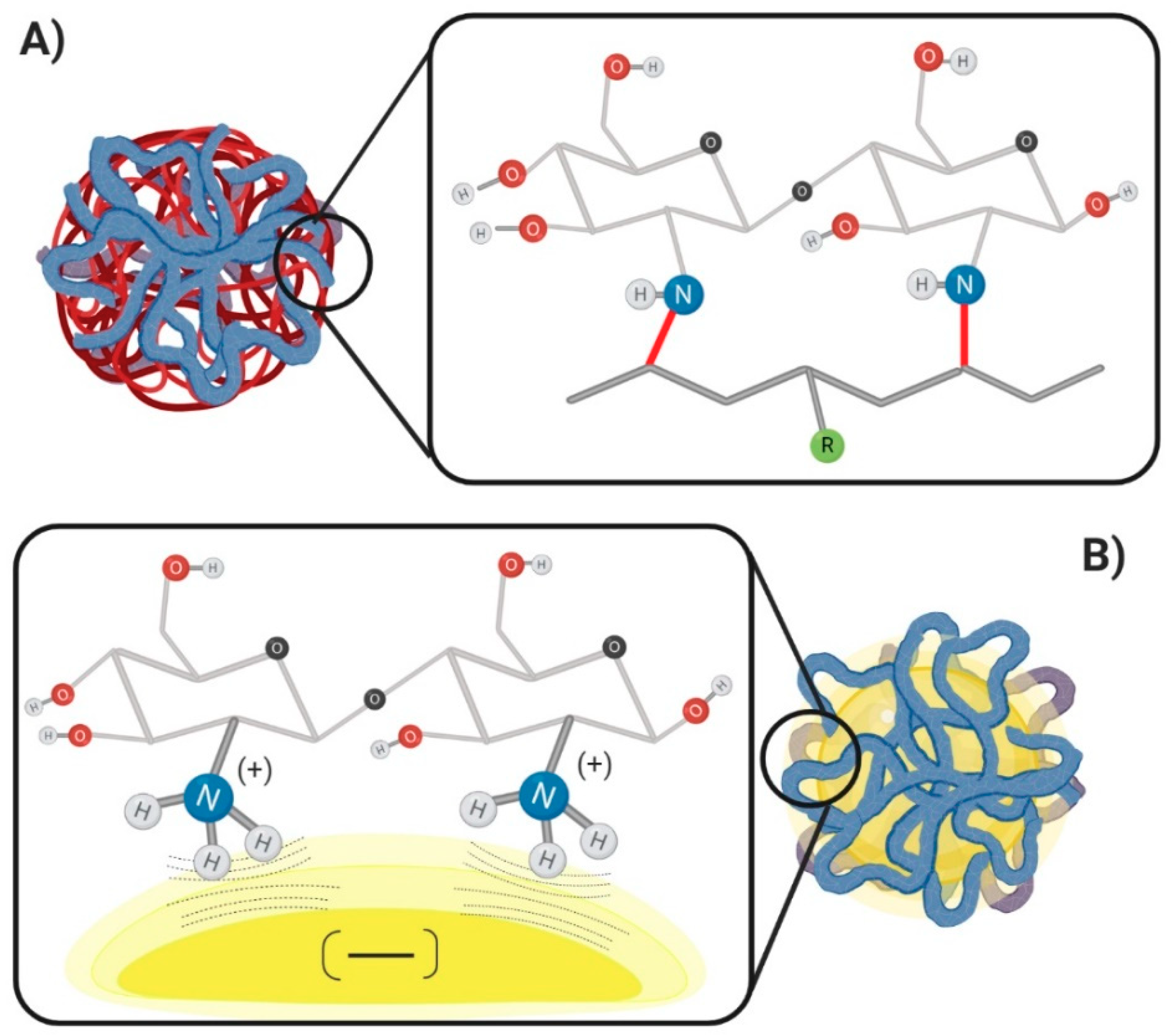 Membranes Free Full Text A Reevaluation Of Chitosan Decorated Nanoparticles To Cross The Blood Brain Barrier Html