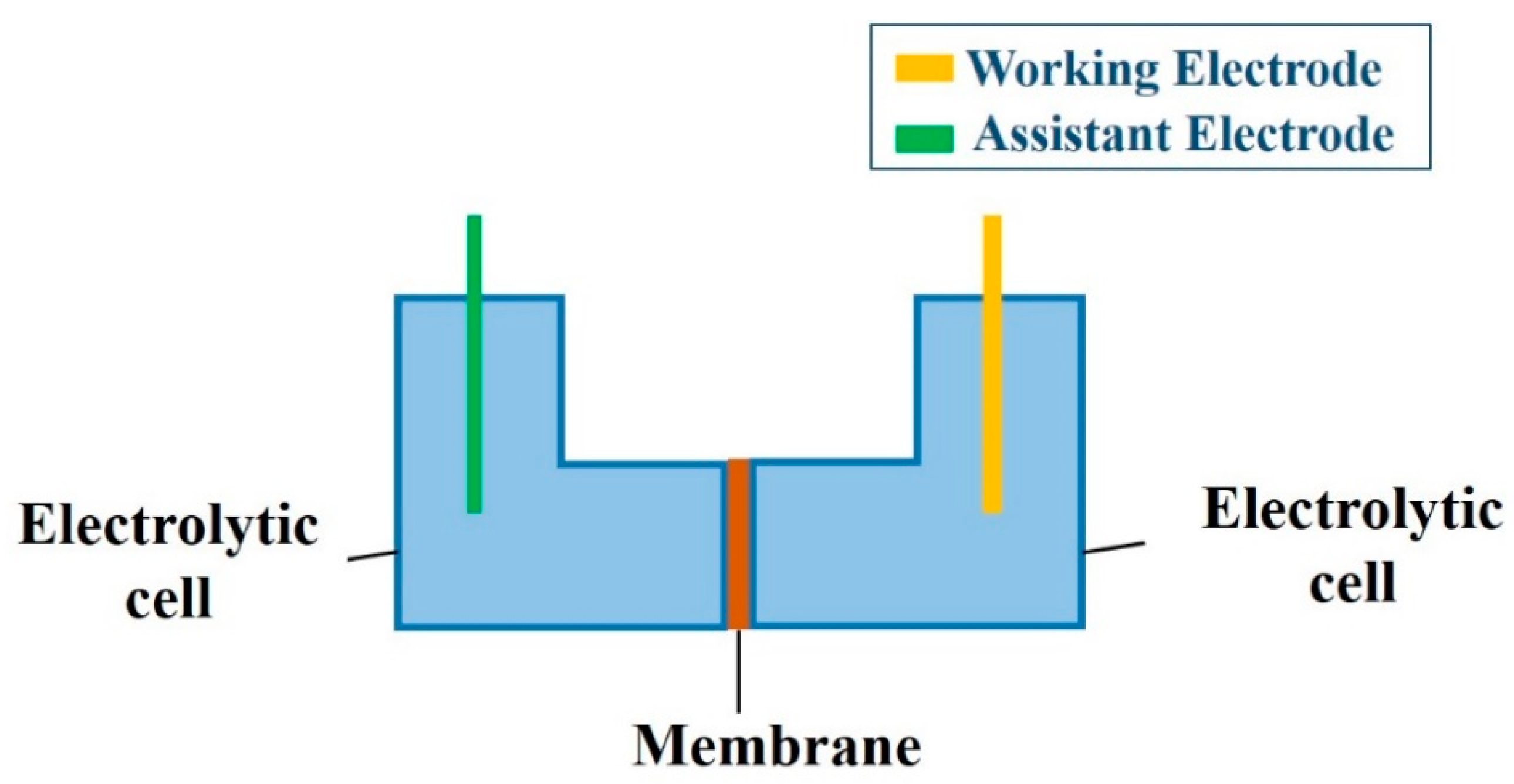 Membranes 10 00214 g002