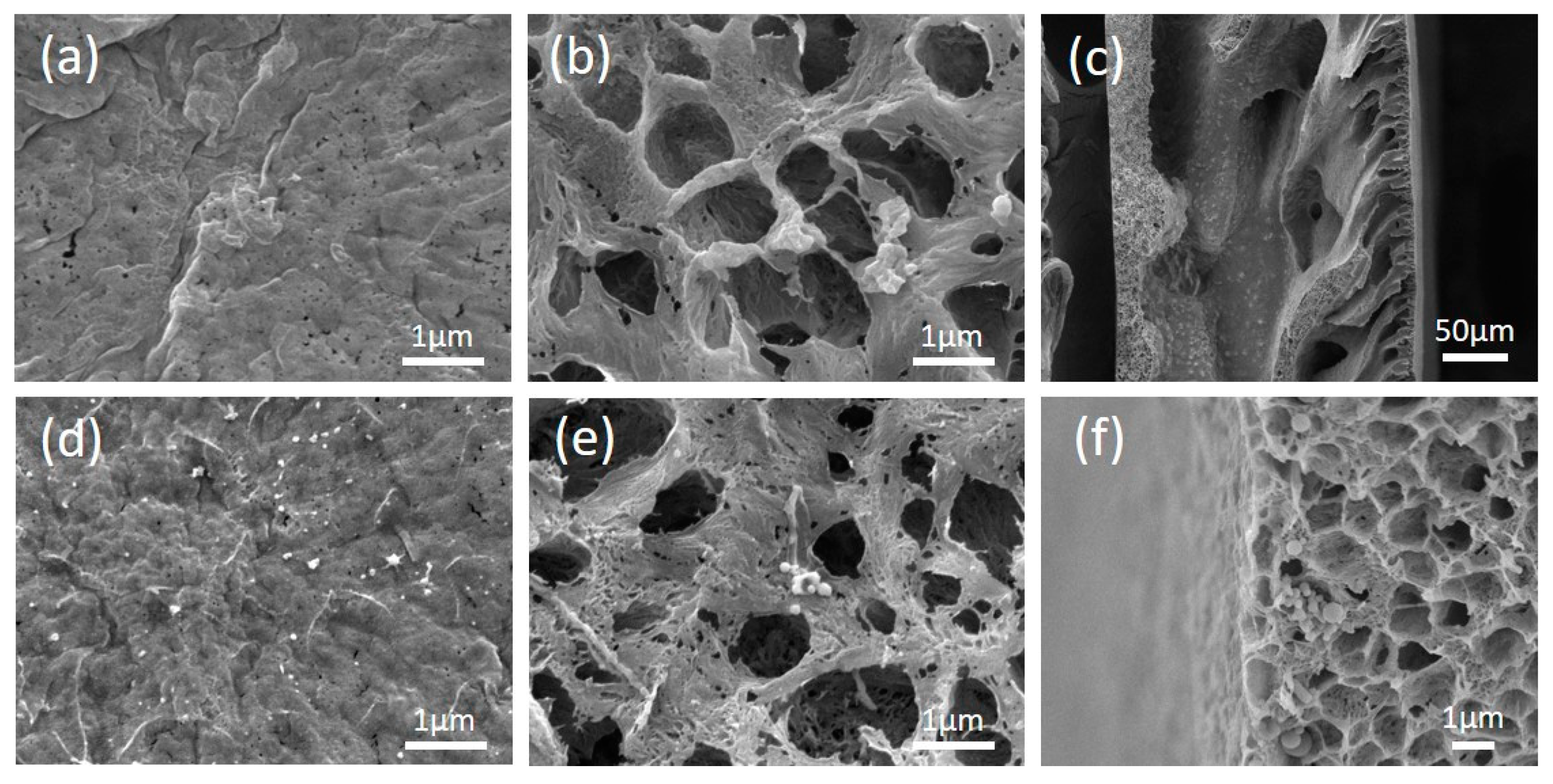 Membranes 10 00214 g003