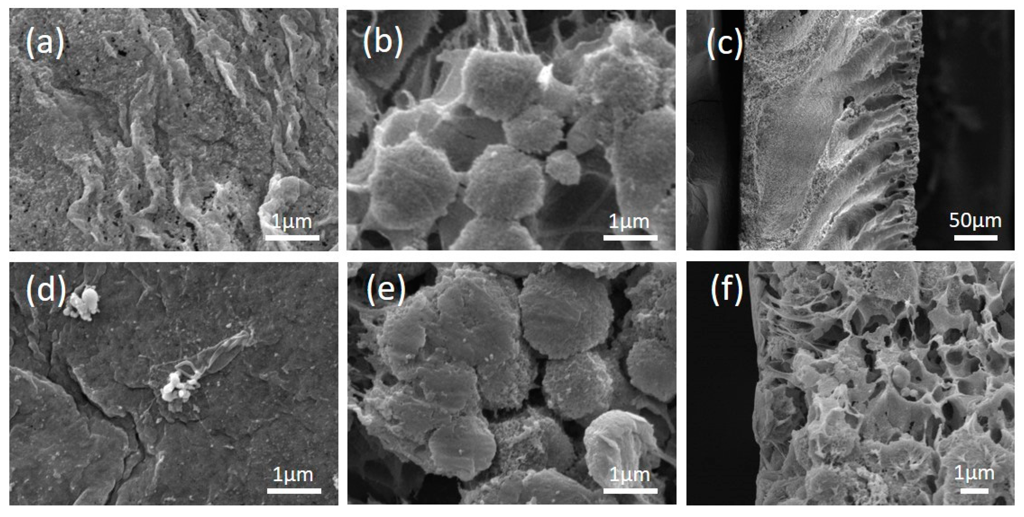 Membranes 10 00214 g004
