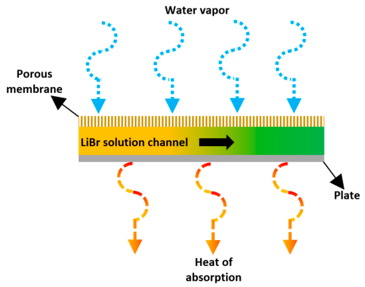 Membranes 