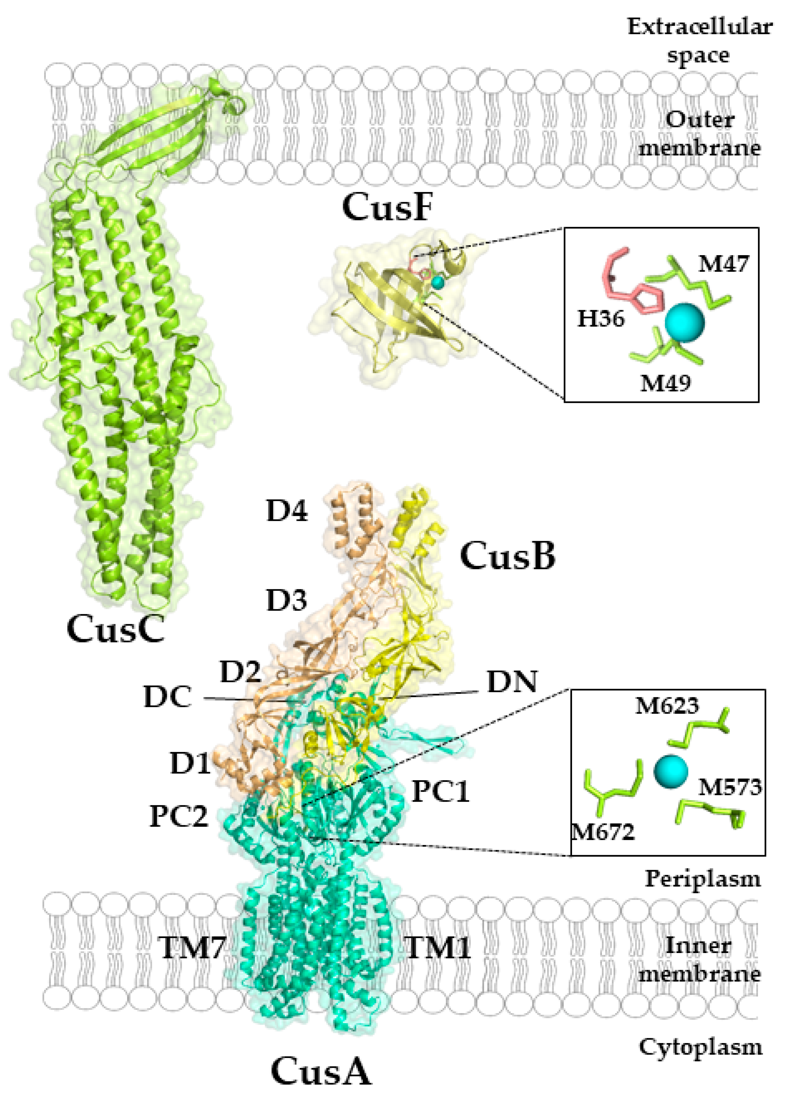 Membranes 10 00242 g009 Membranes 10 00242 g009