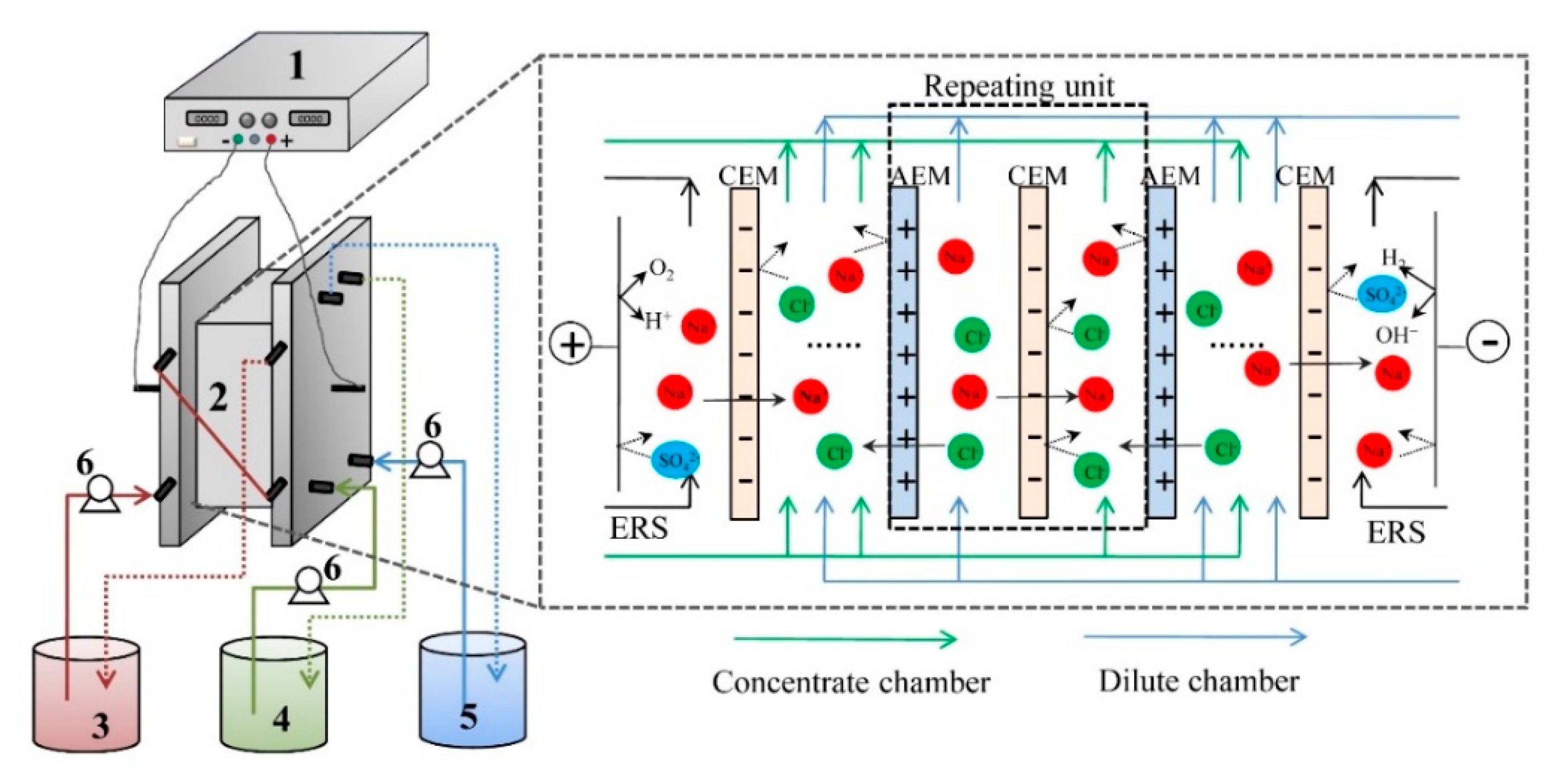Membranes 10 00245 g001