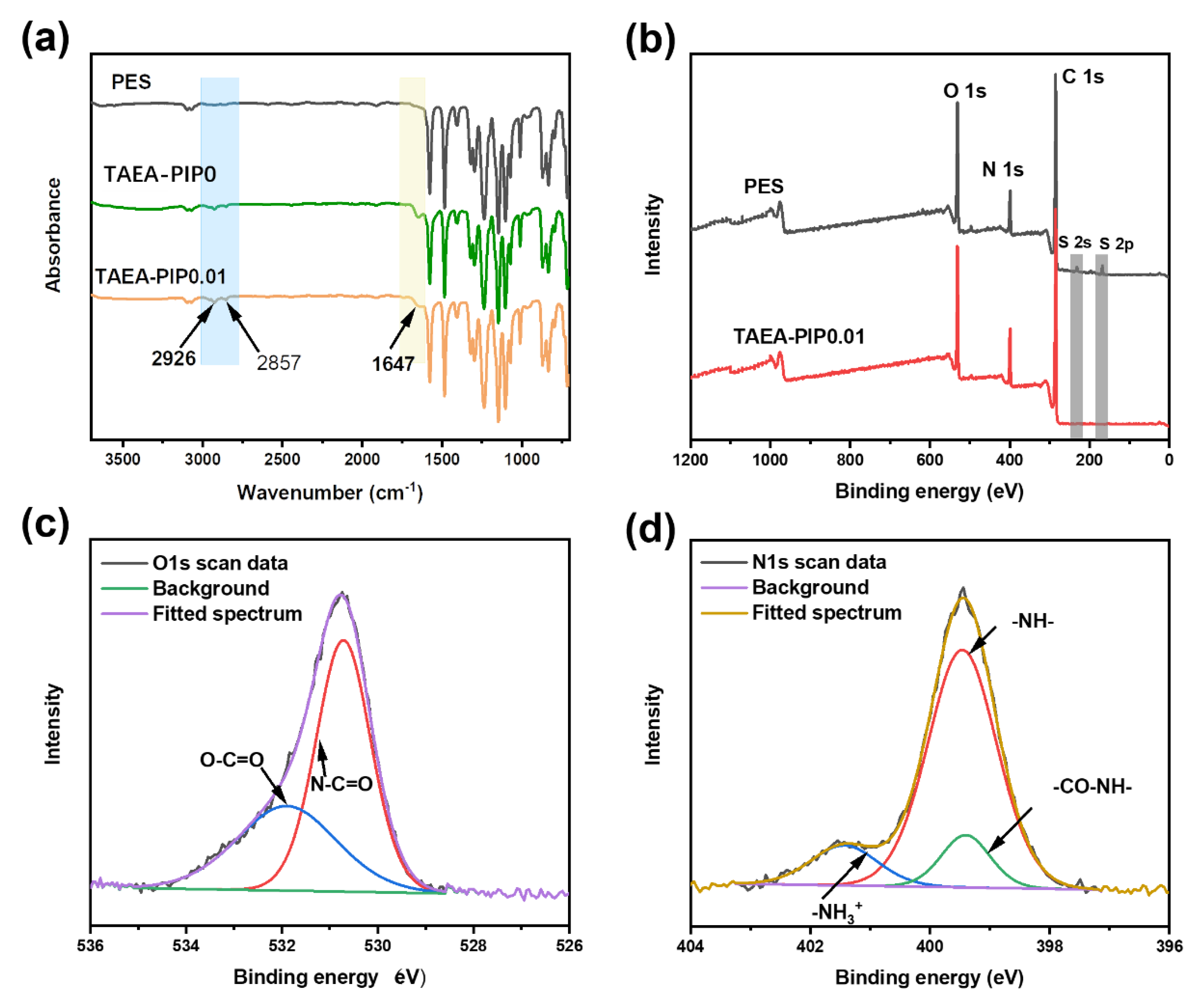 Membranes 10 00251 g002